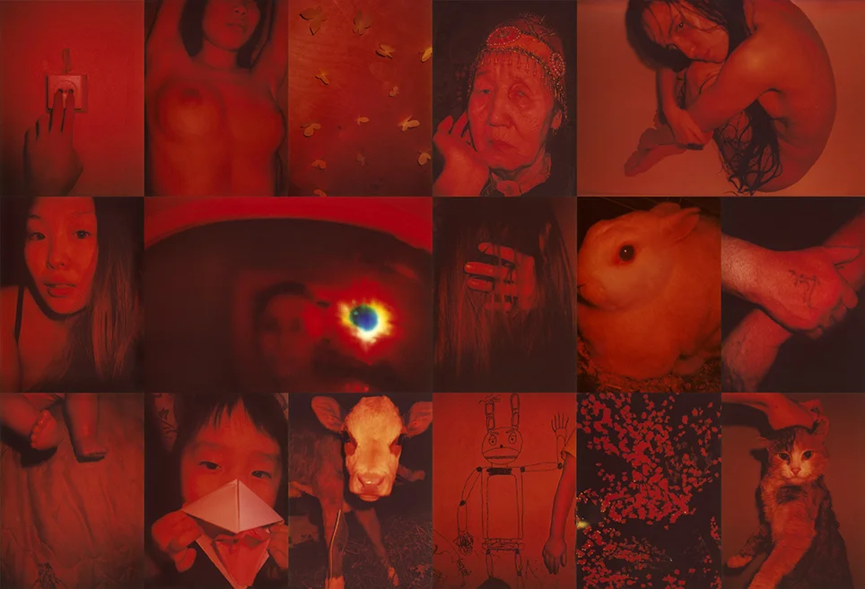 spread012.jpg