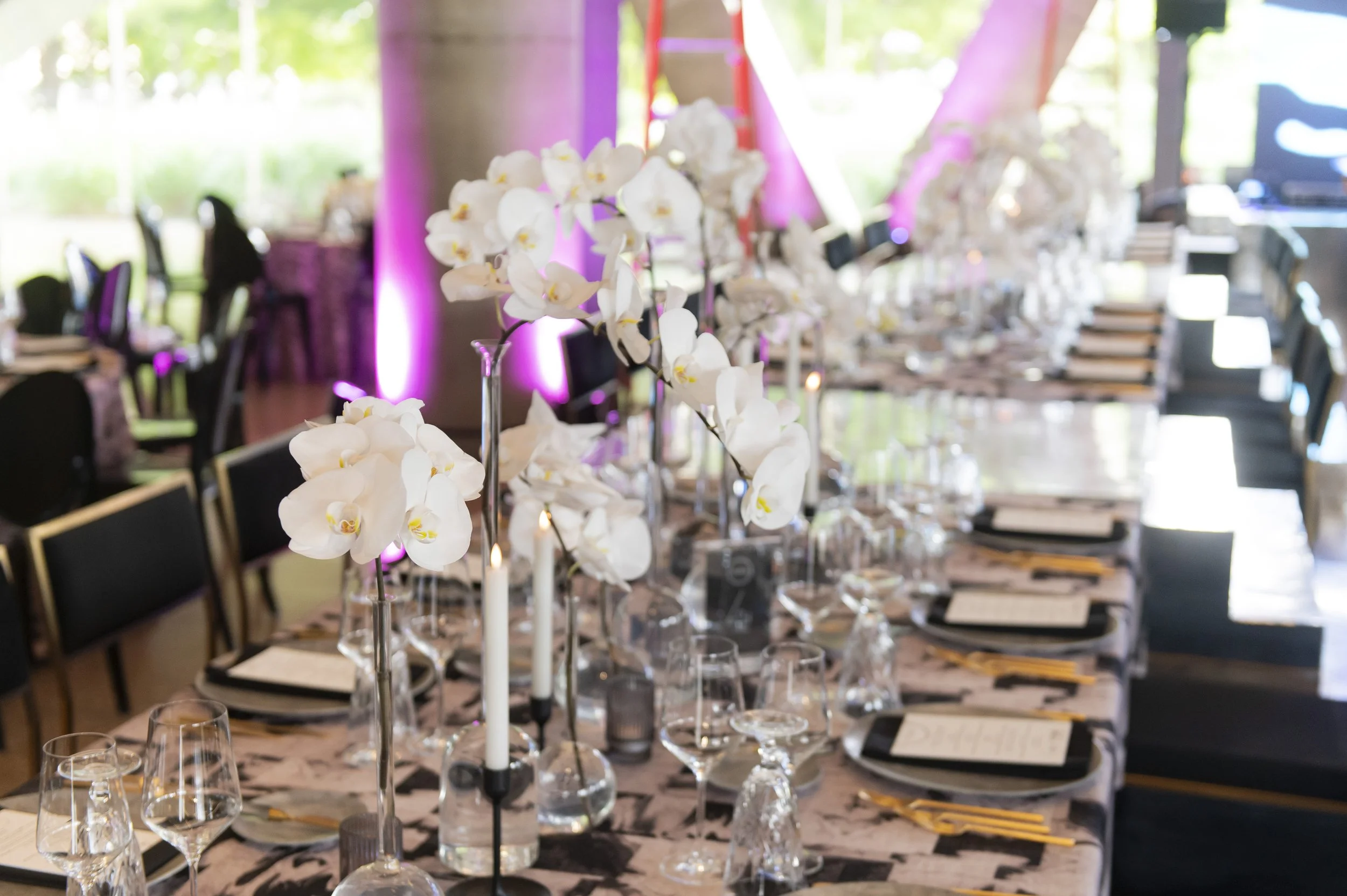 PMNSxCS-PartyAtPerot-001.jpg