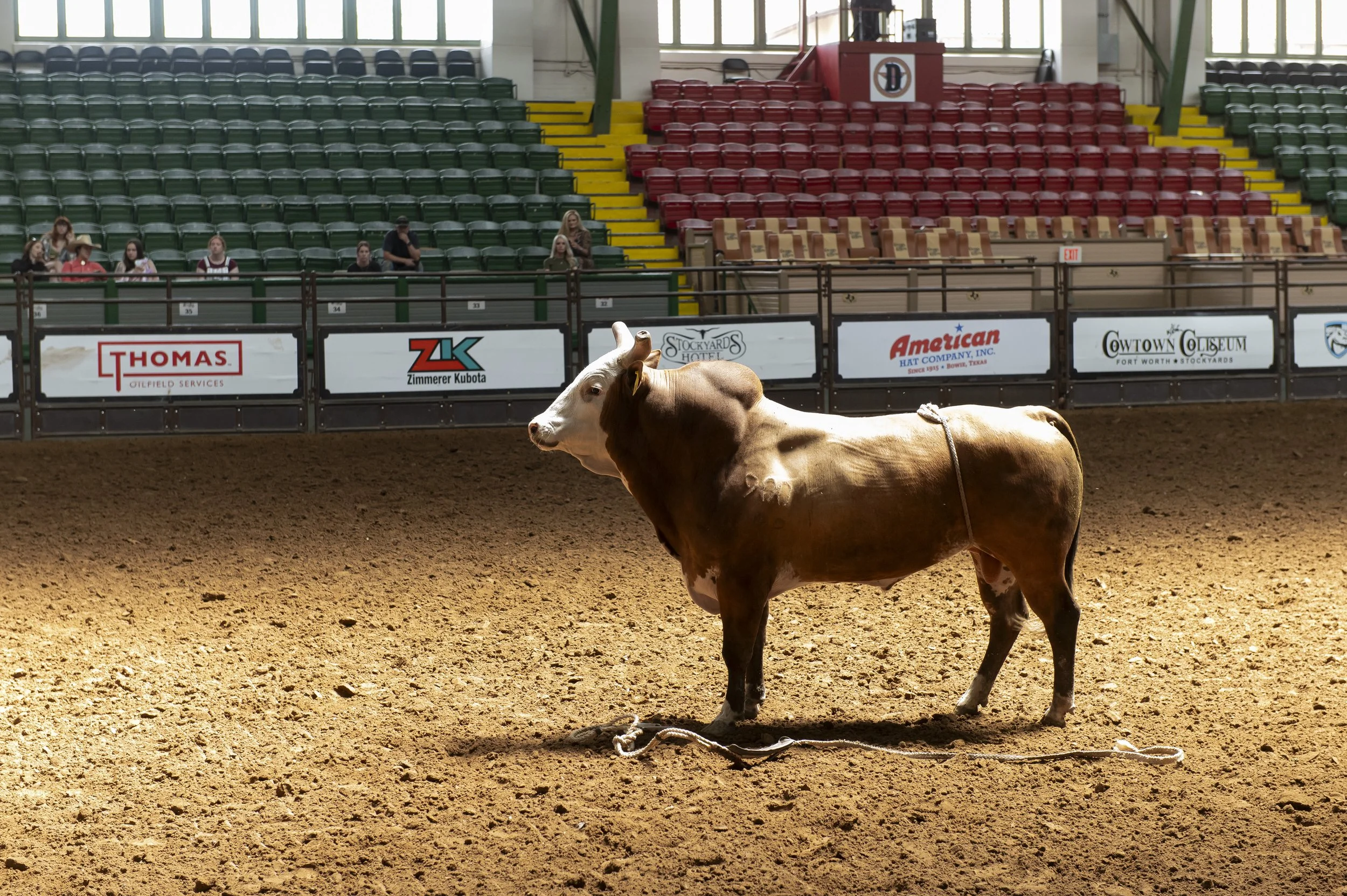PMNSxCS-RodeoBrunch-087.jpg