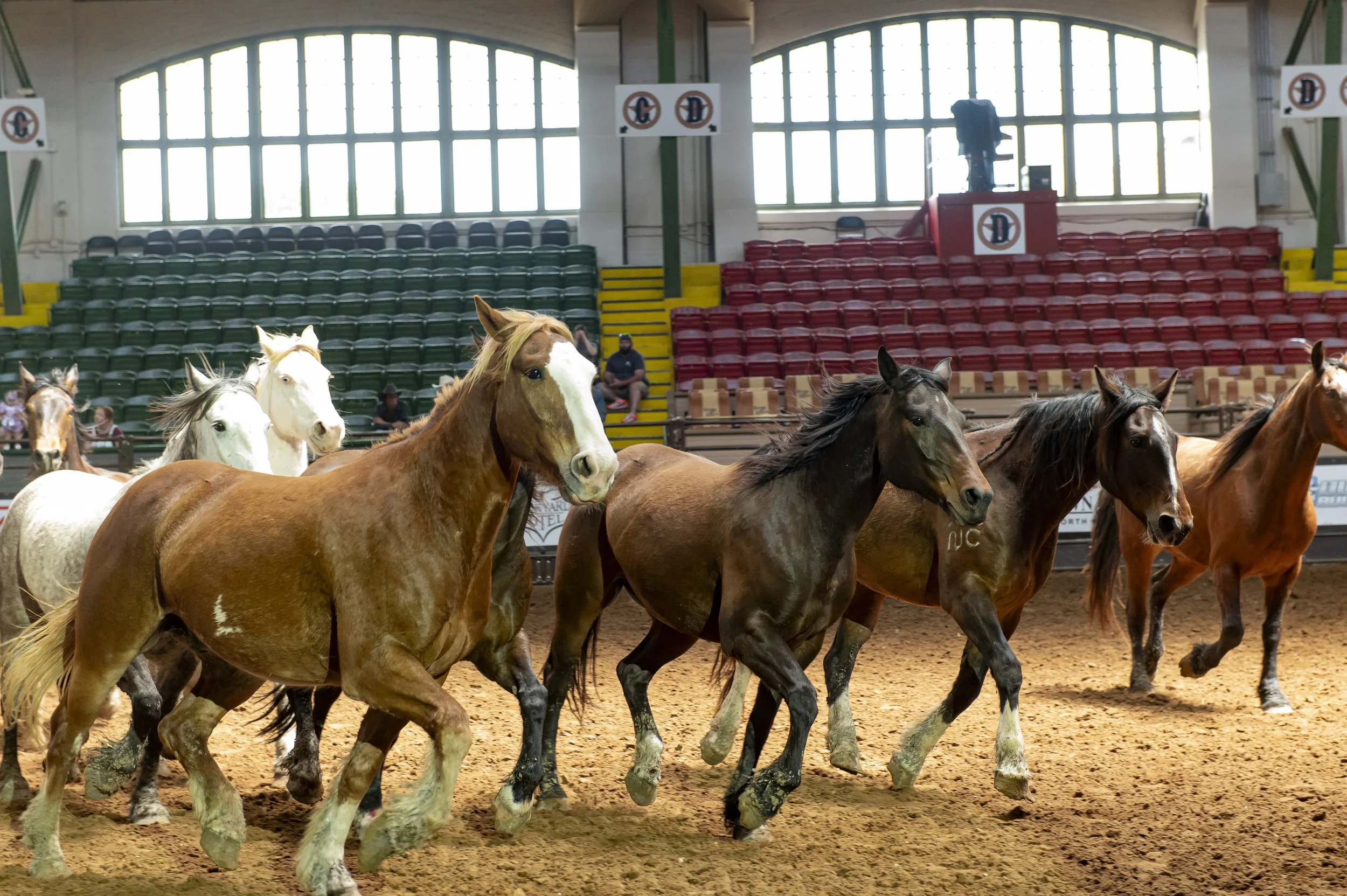 PMNSxCS-RodeoBrunch-099.jpg