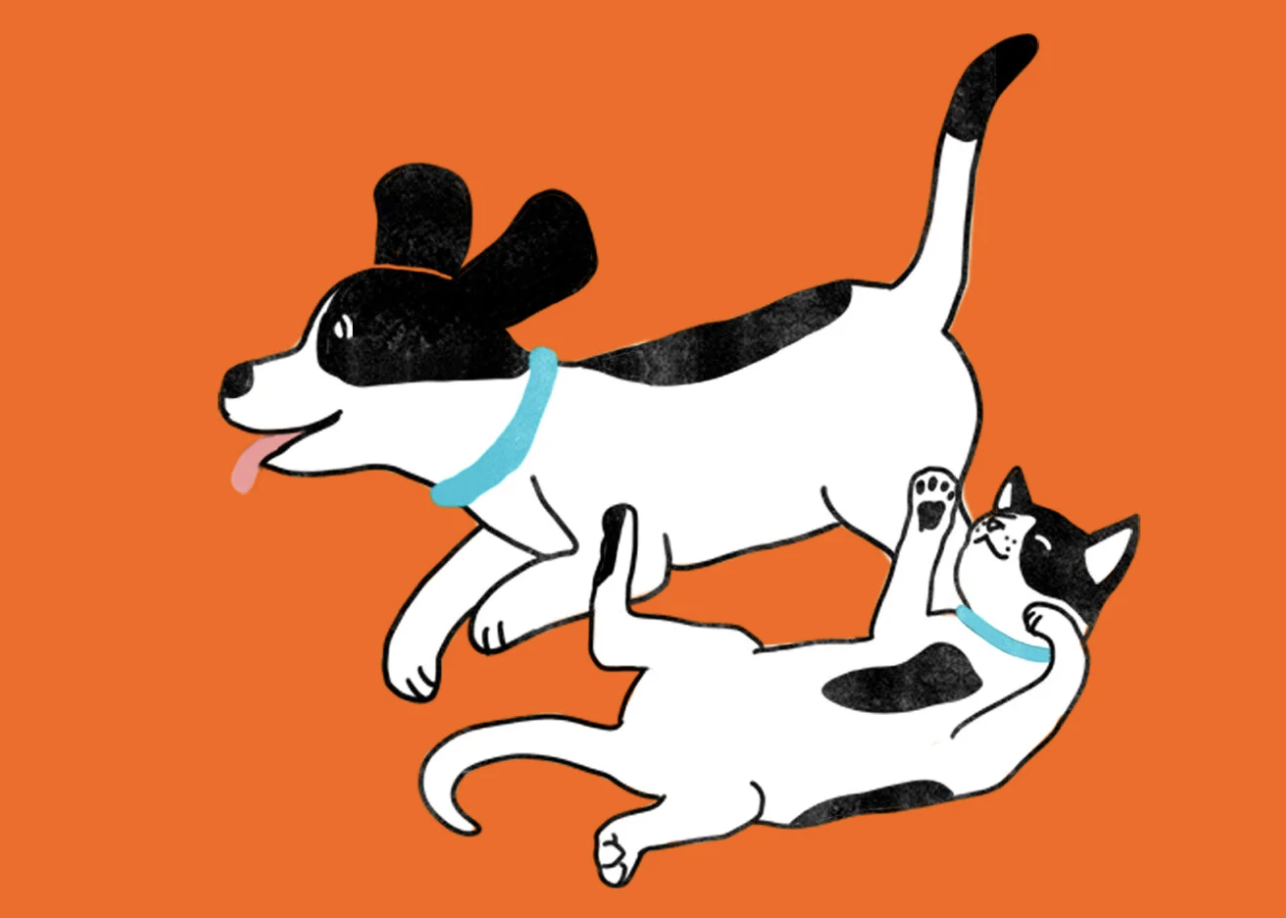 Screenshot 2025-11-20 at 11.24.22 AM.png