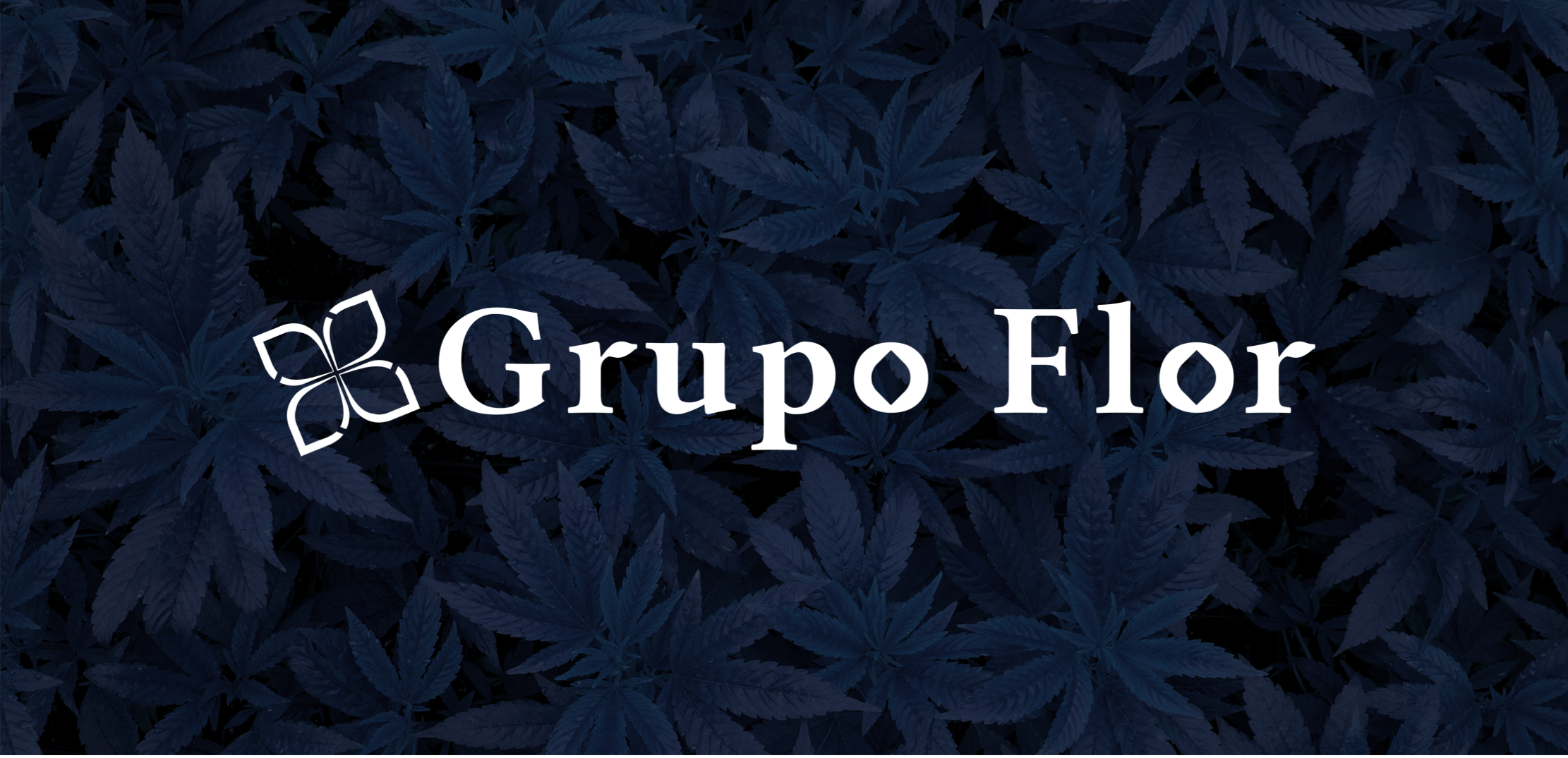 grupo flor.png