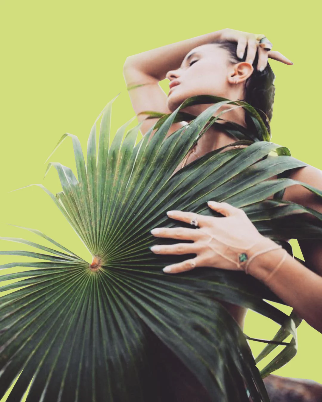 palmphoto.jpg