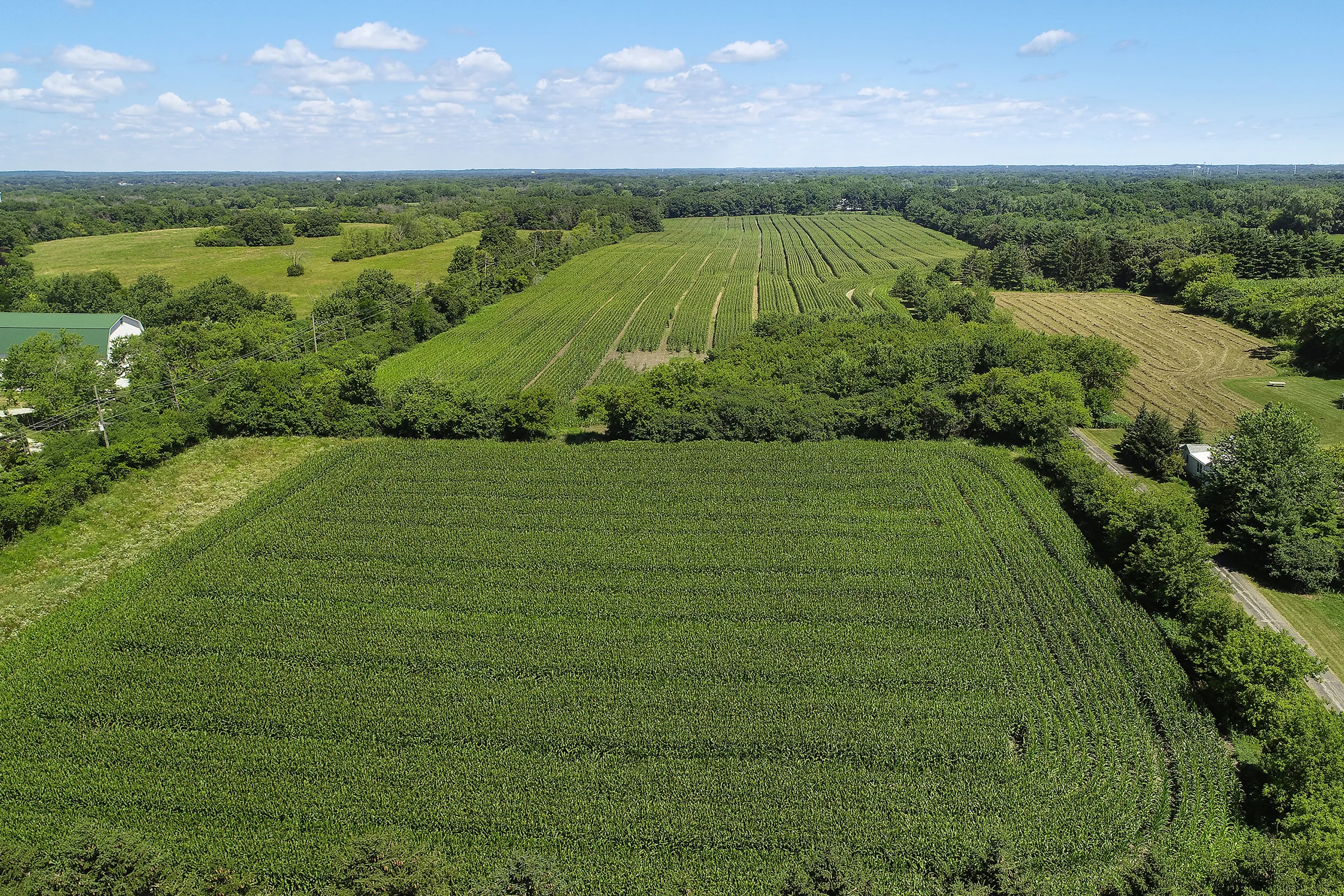 DJI_0132.jpg