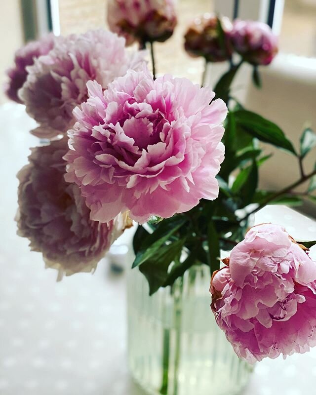 On a grey day these light up the room...and my mood! Love peonies one of my fave flowers if not THE fave flower! #selfcare