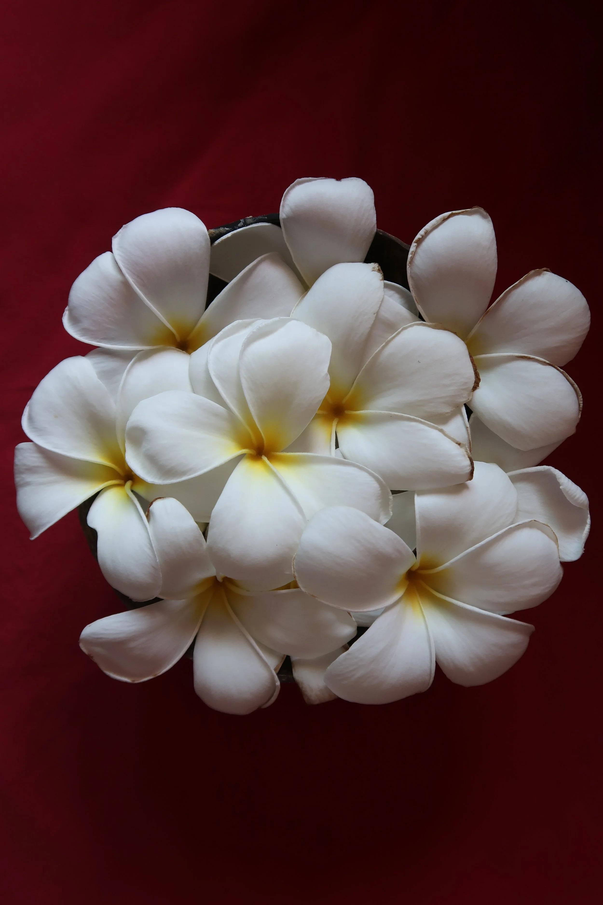 دورة شهرية بدون قمامة 