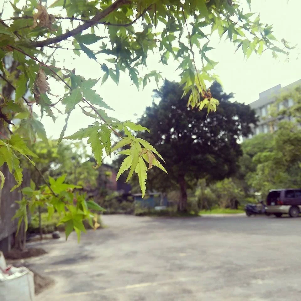 042901.jpg