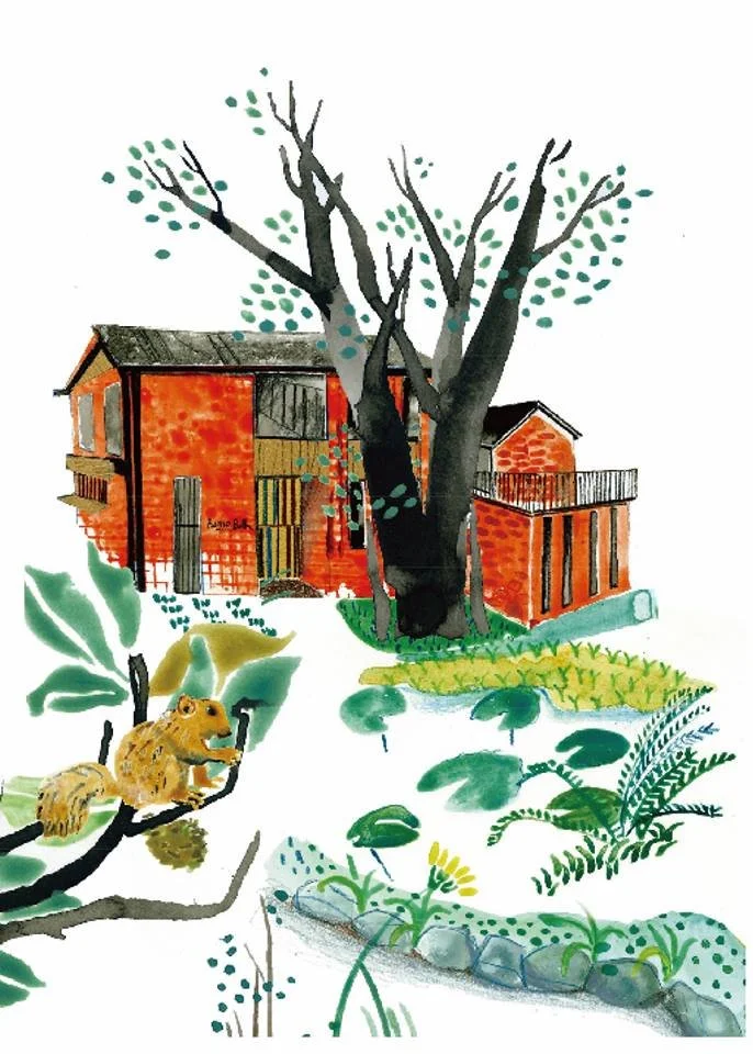 Buono Bella插圖 2.jpg