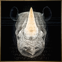 Roy Nachum’s Brail encoded art