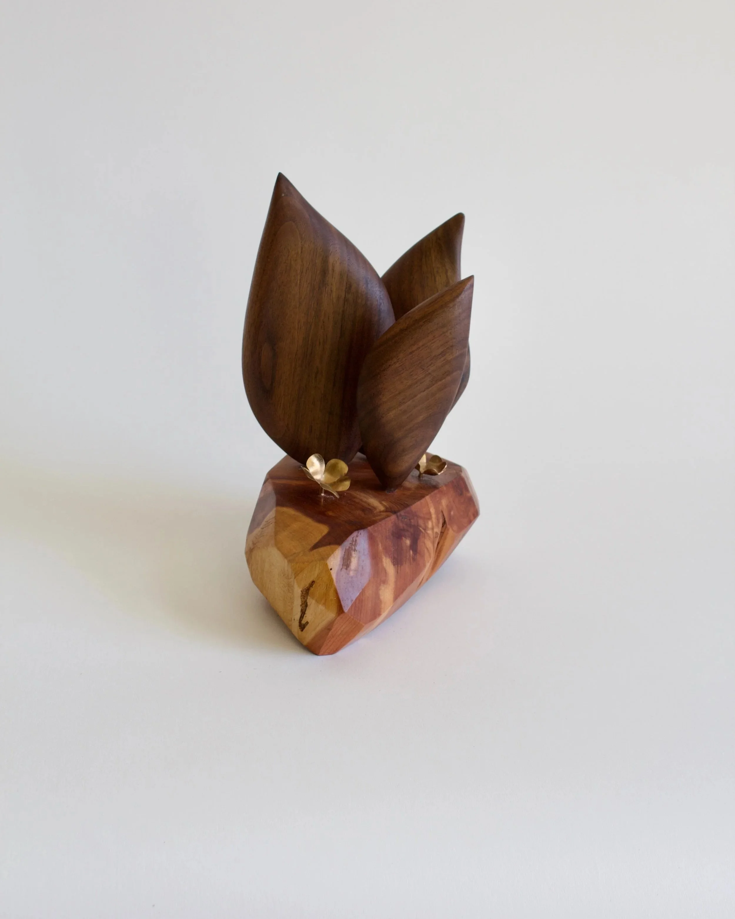 SucculentSculpture+-+6.jpg