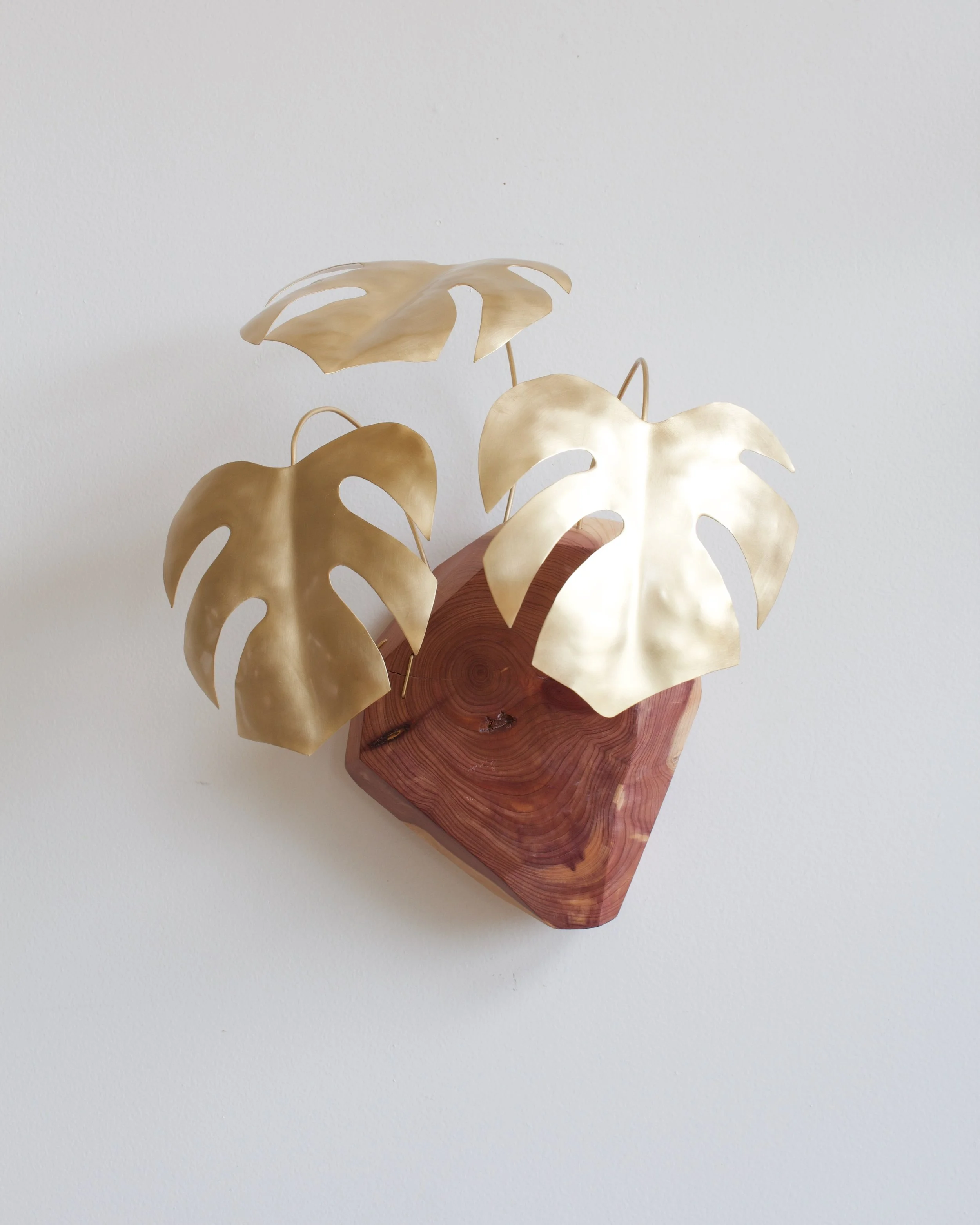 MonsteraWallSculpture v.29 - 1.jpeg