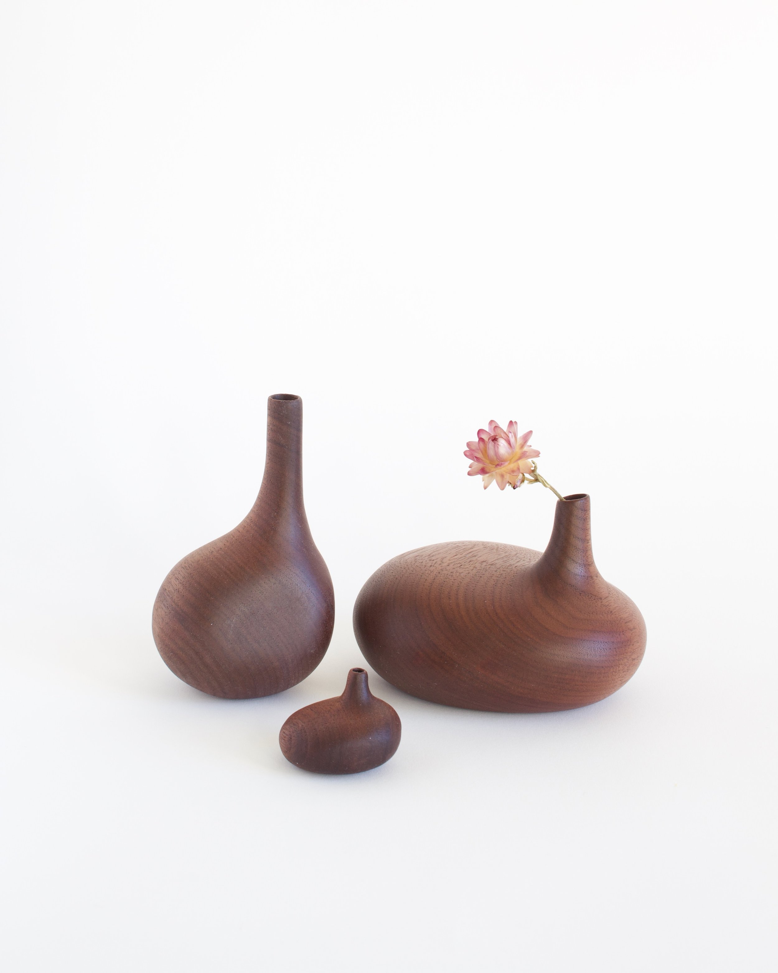 WalnutSploots - 1 (1).jpeg