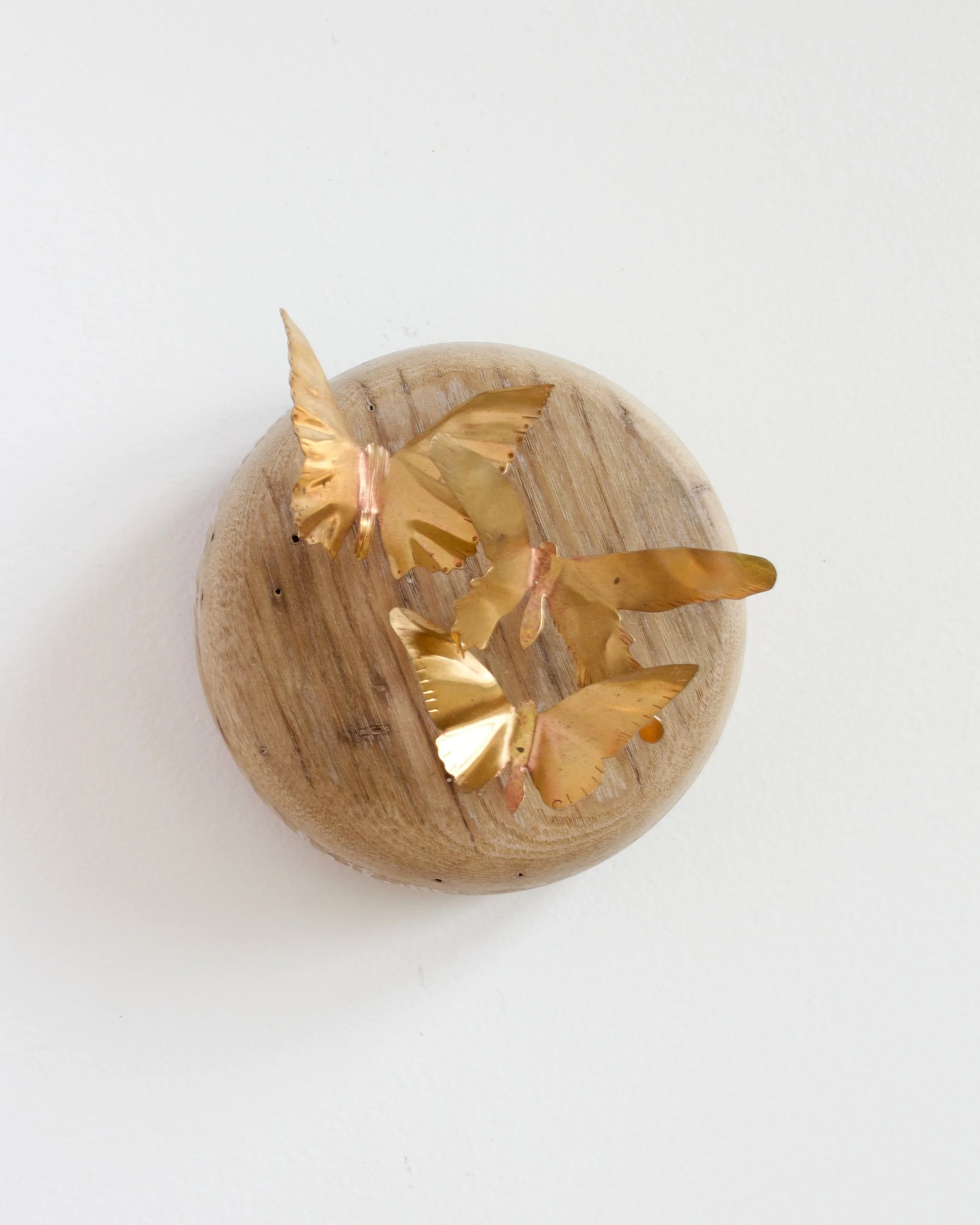 ButterflyWallSculpture - 1.jpeg