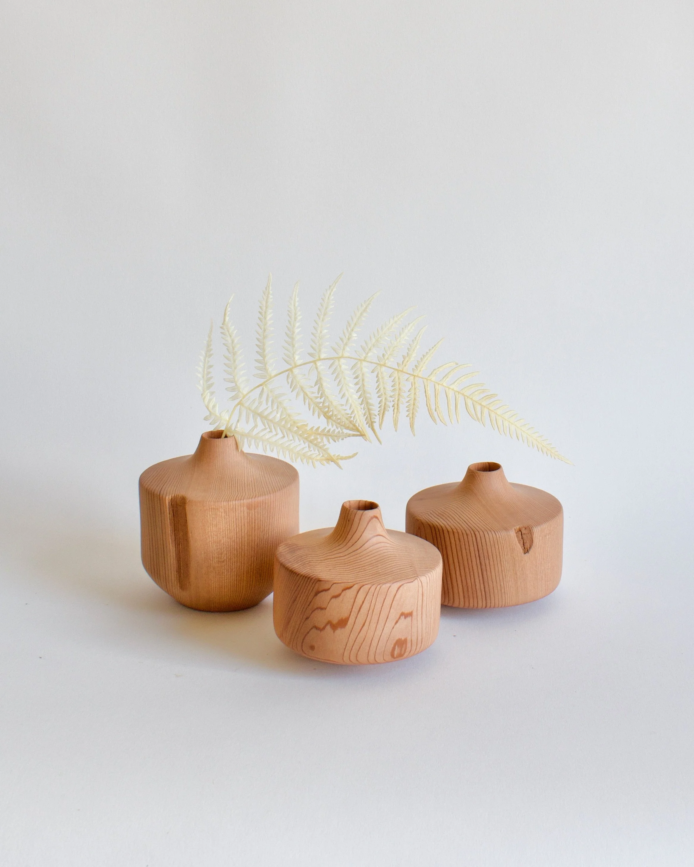 RedwoodVaseGroup2 - 1.jpeg