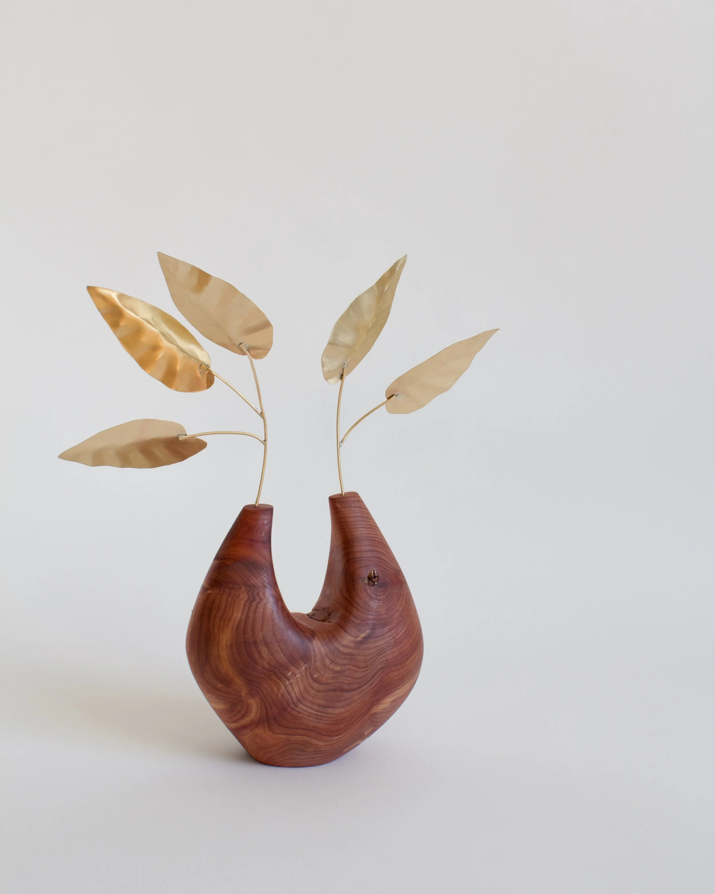 Vessel_Begonia+Cedar - 1 (1).jpeg