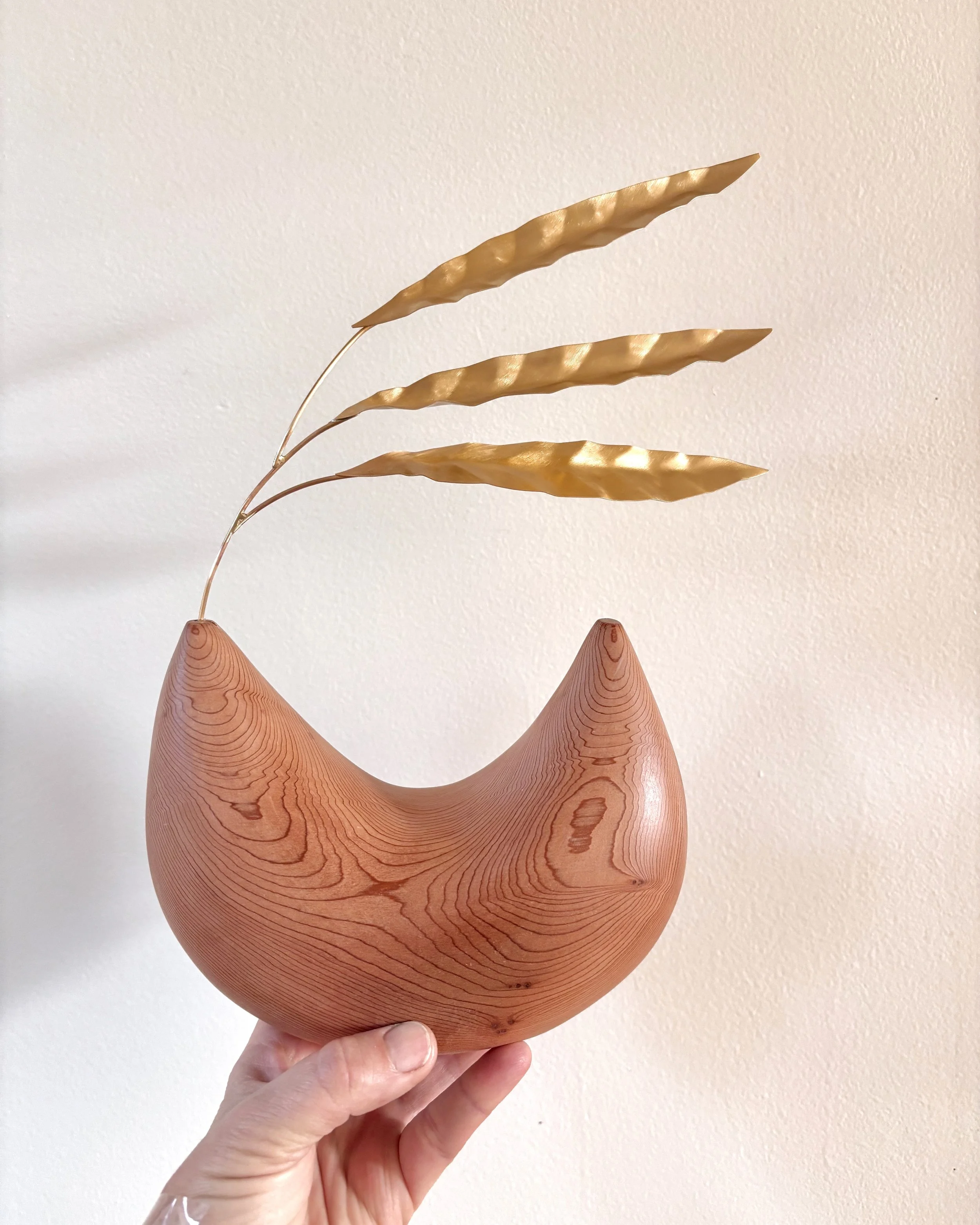 SculpturalVesselRedwoodLancifolia - 1.jpeg