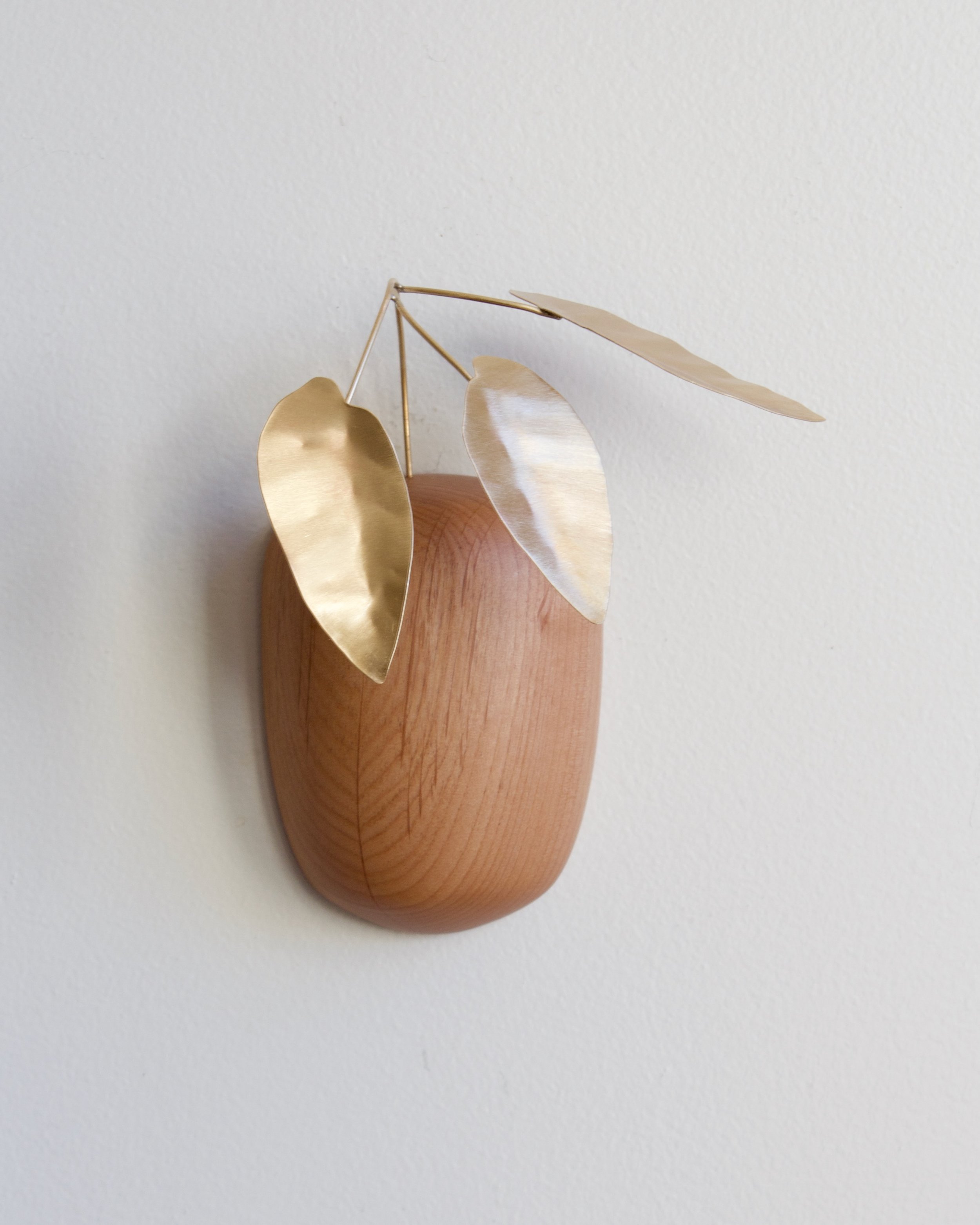 Begonia v.11 - 1.jpeg