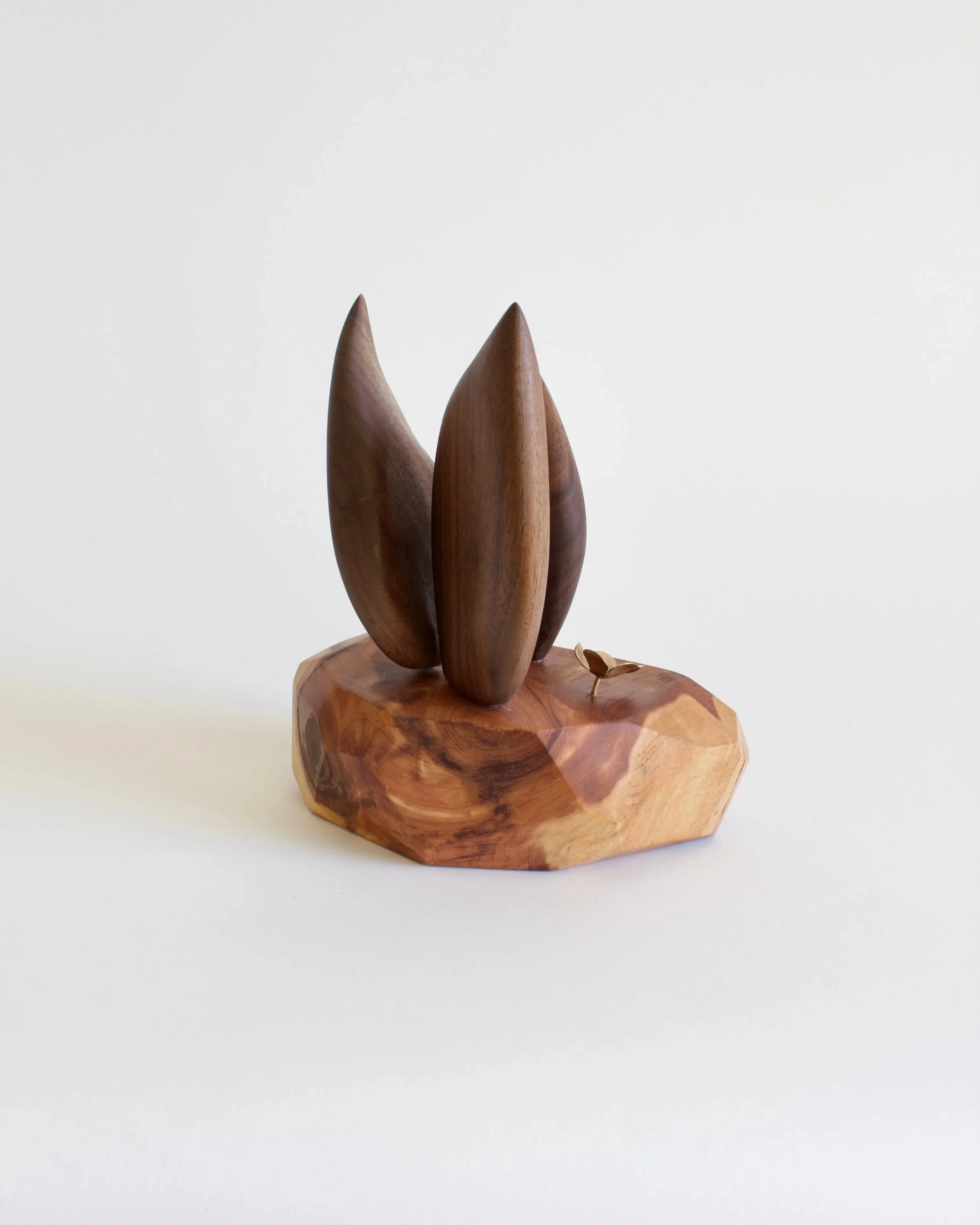 SucculentSculpture+-+3.jpg