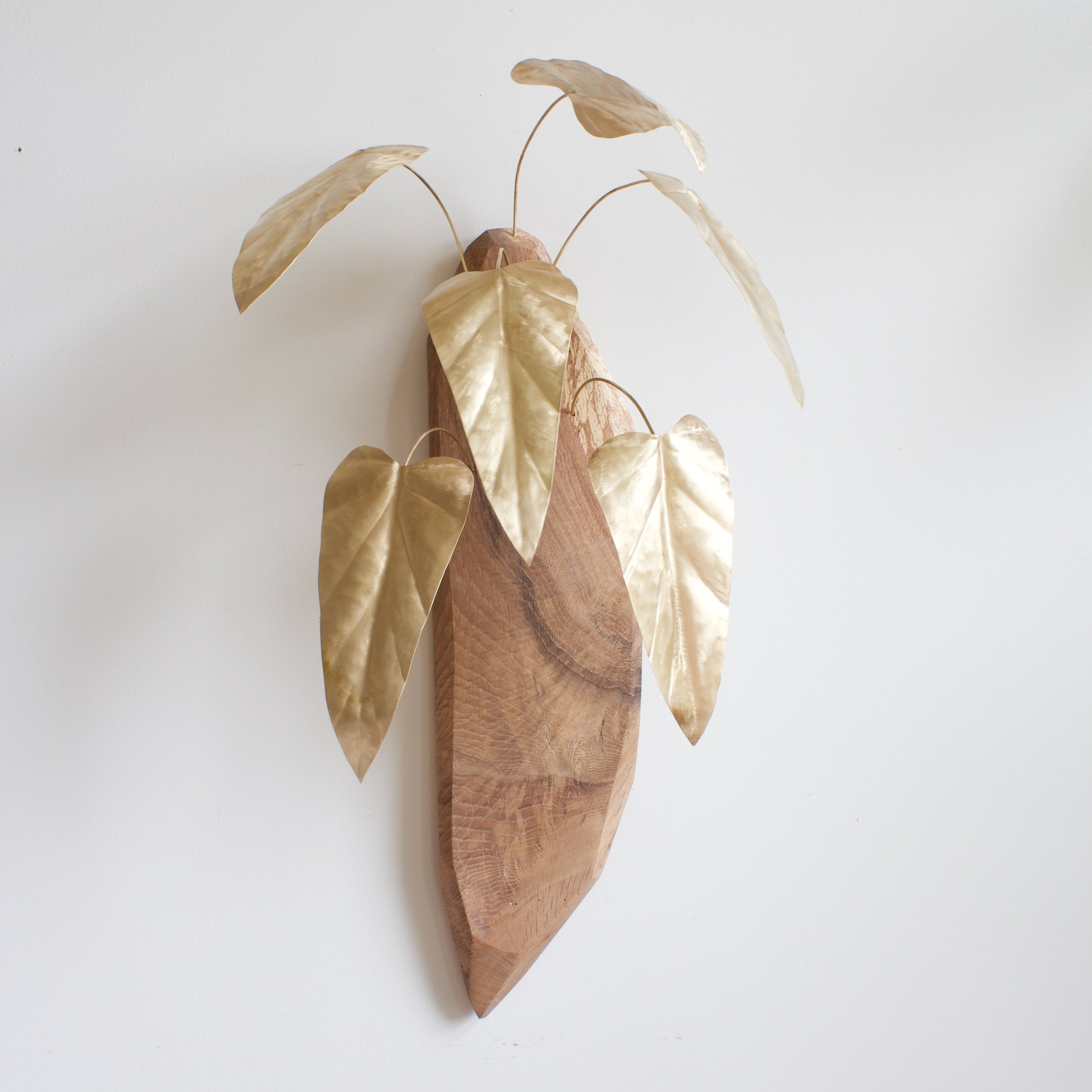 PhilodendronMela v1 - 1.jpeg