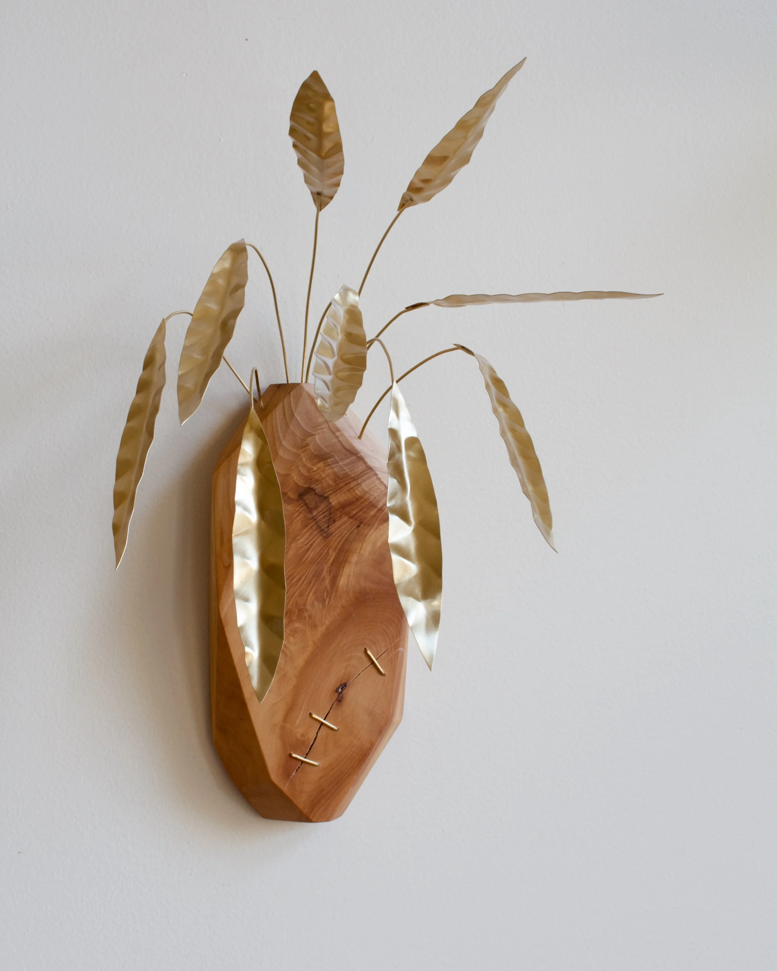 CalatheaLancifolia v.11 - 1.jpeg