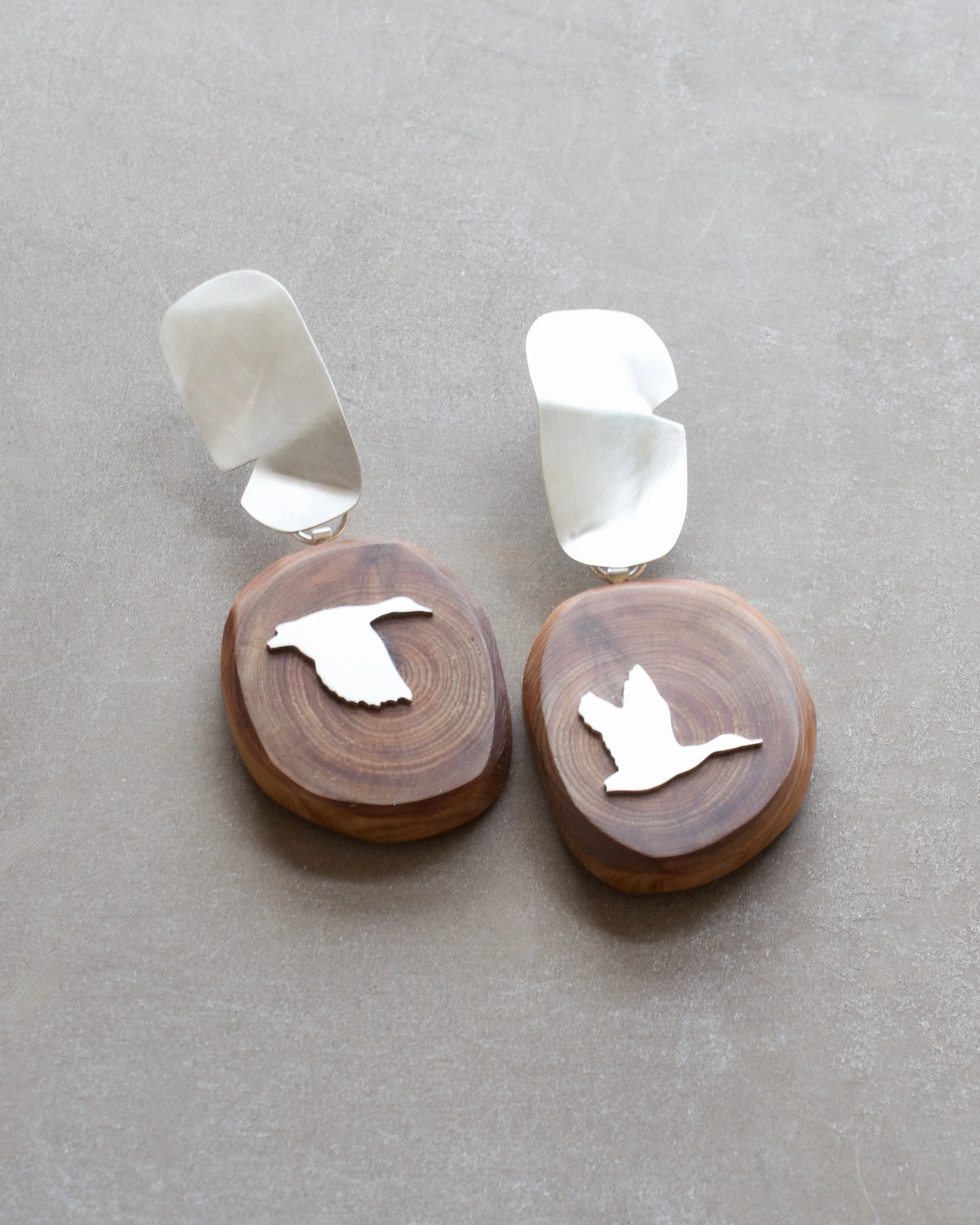 DuckWesternCedarEarrings - 1.jpeg