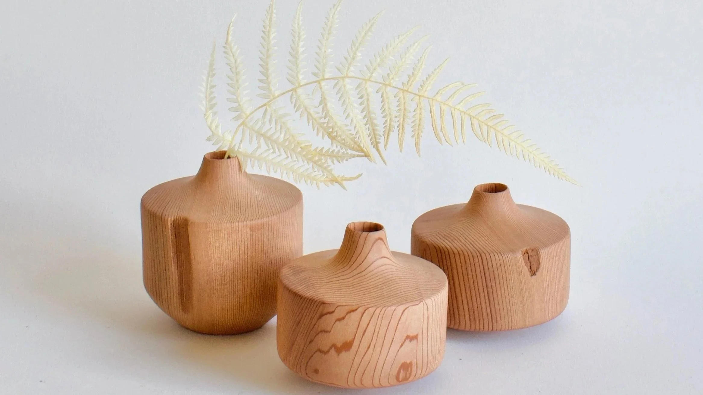 Photo of three squat redwood vases with beautiful woodgrain on a white background with a cream colored fern leaf draping gracefully out of one vase
