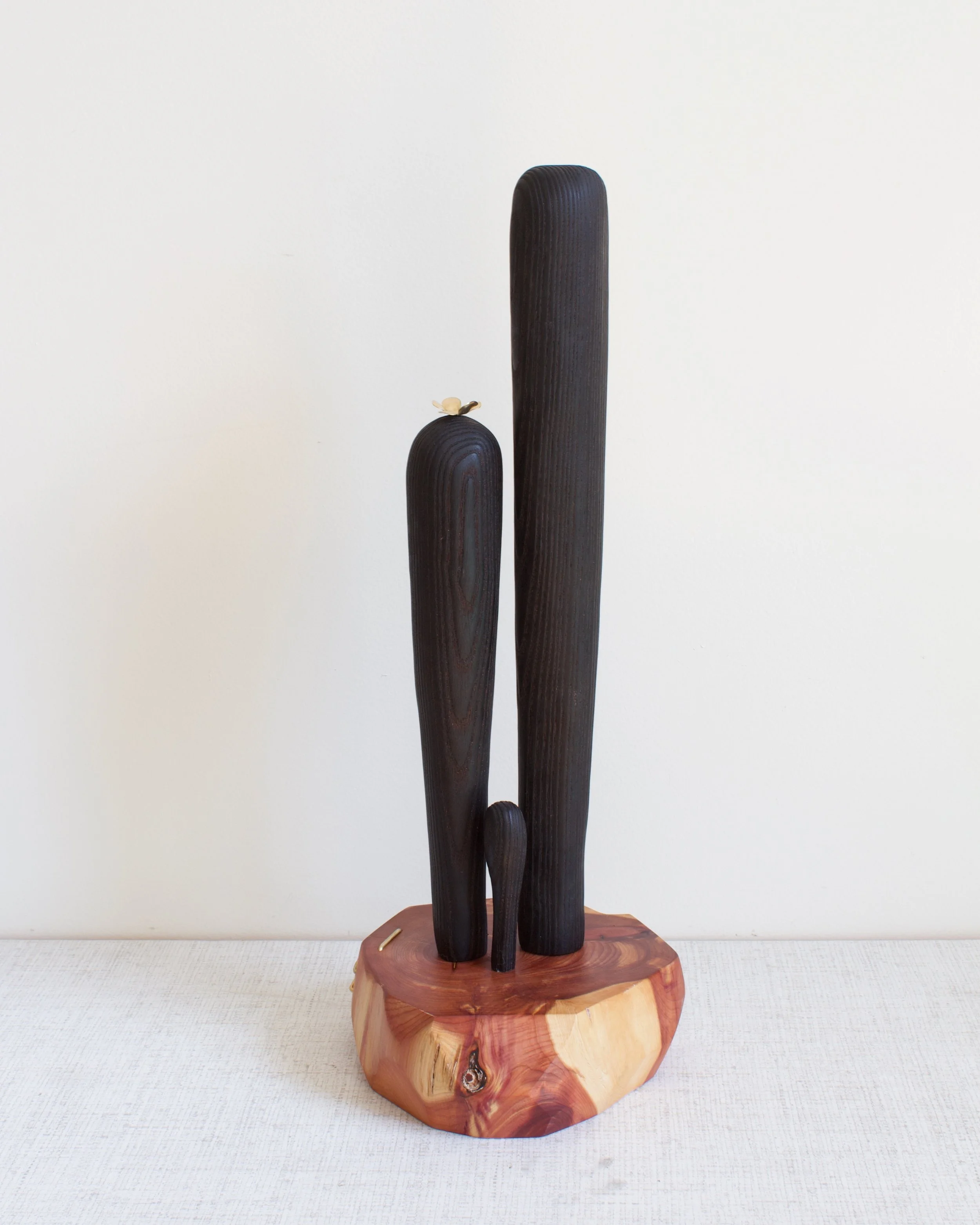 XL Columnar Cactus Char.jpeg