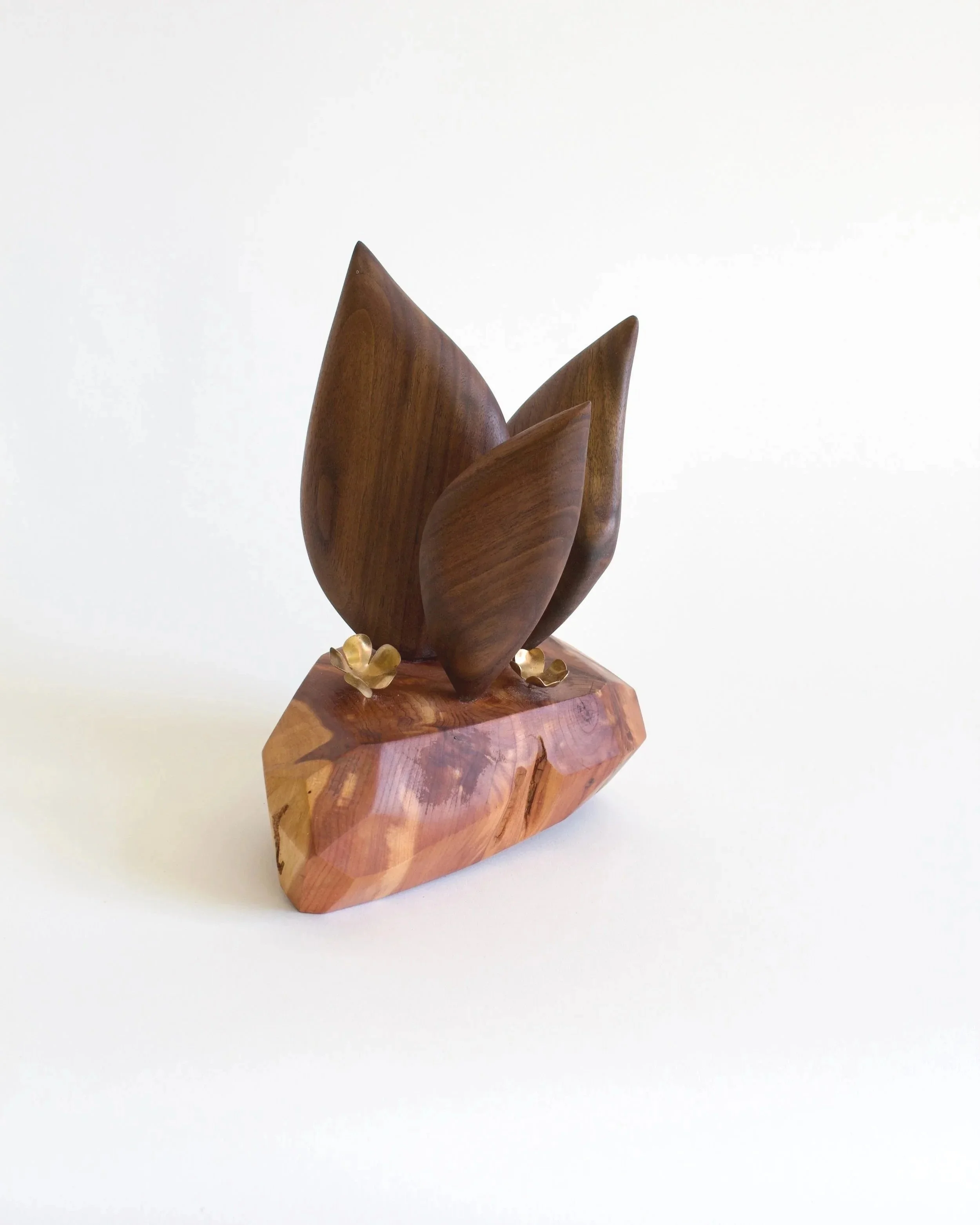 SucculentSculpture%2B-%2B1.jpg