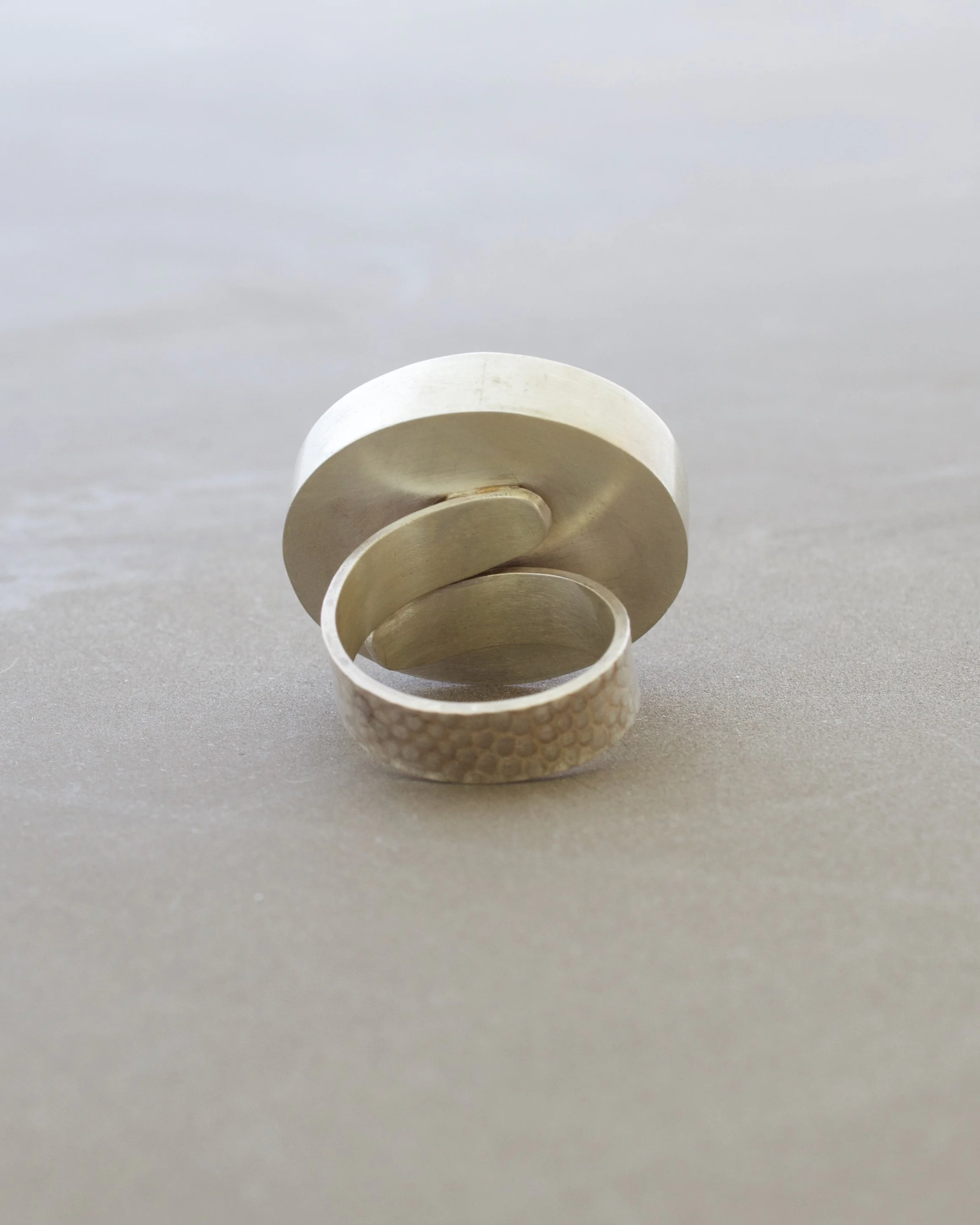 SandhillCraneRing3 - 1.jpeg