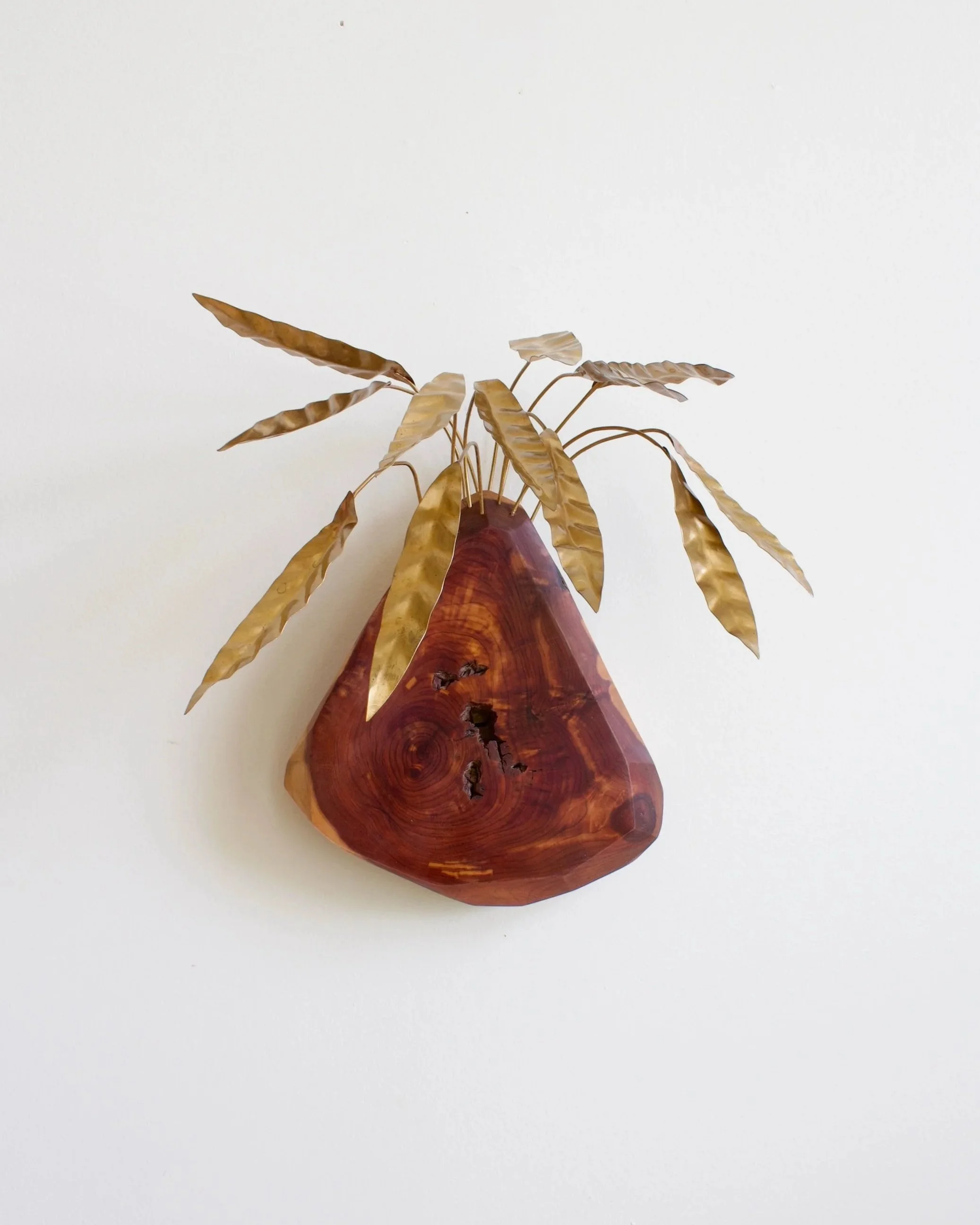 CalatheaLancifolia+-+5.jpg
