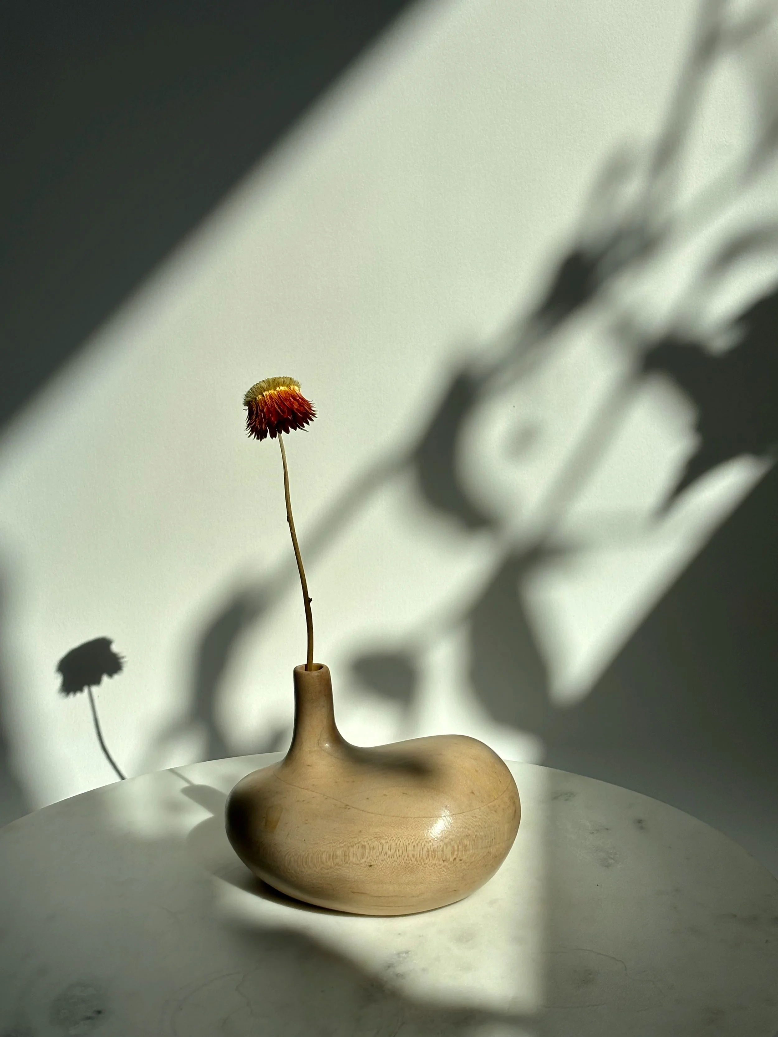 SurvivorShadows - 9.jpeg