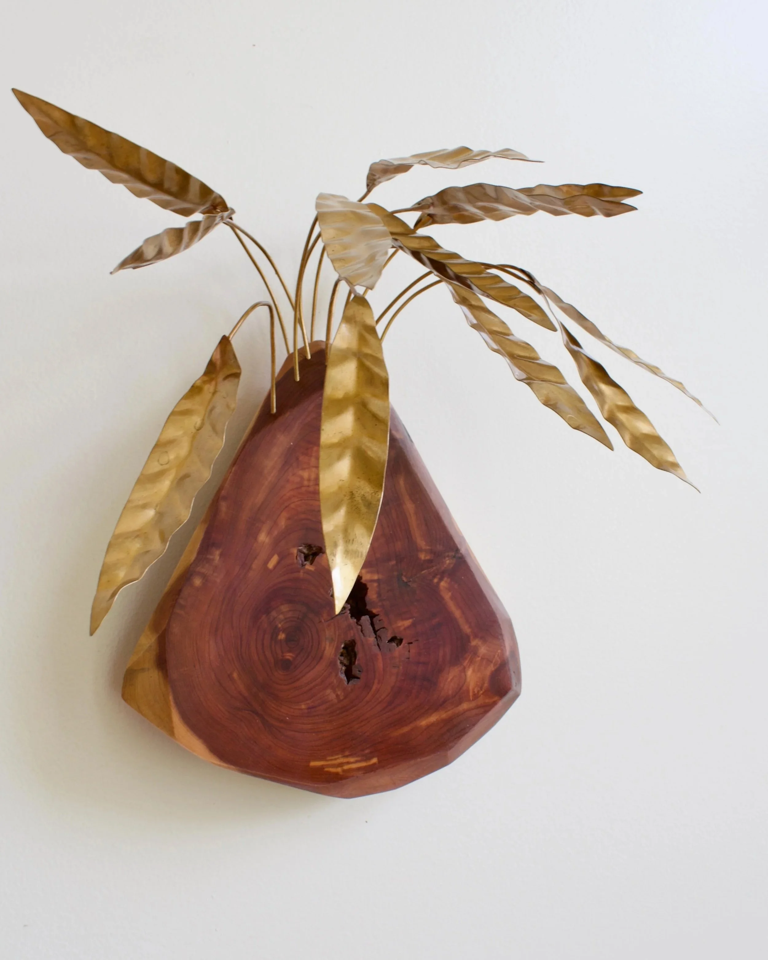 CalatheaLancifolia+-+4.jpg