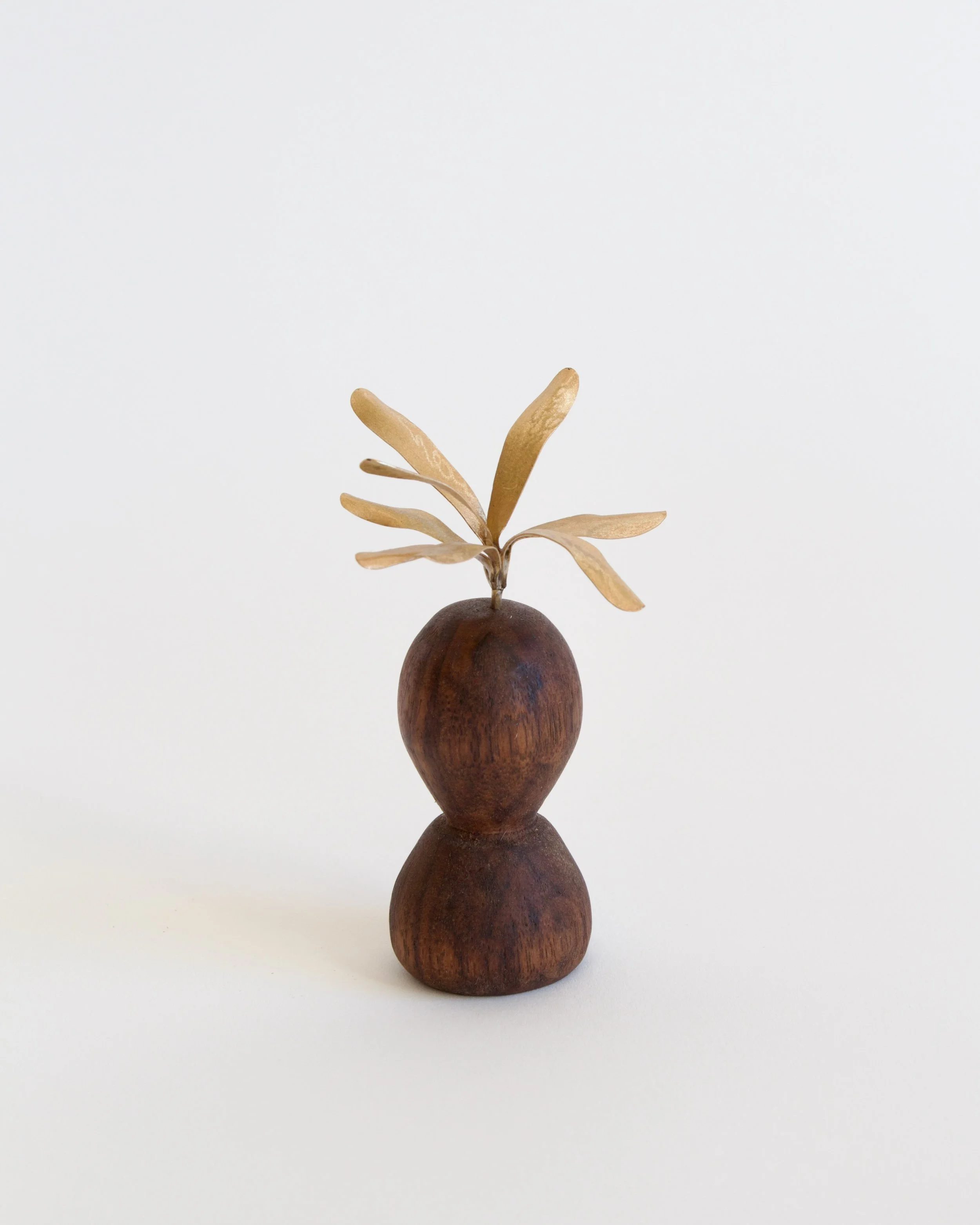 TinyWalnut+CastIronplantVase - 1.jpeg