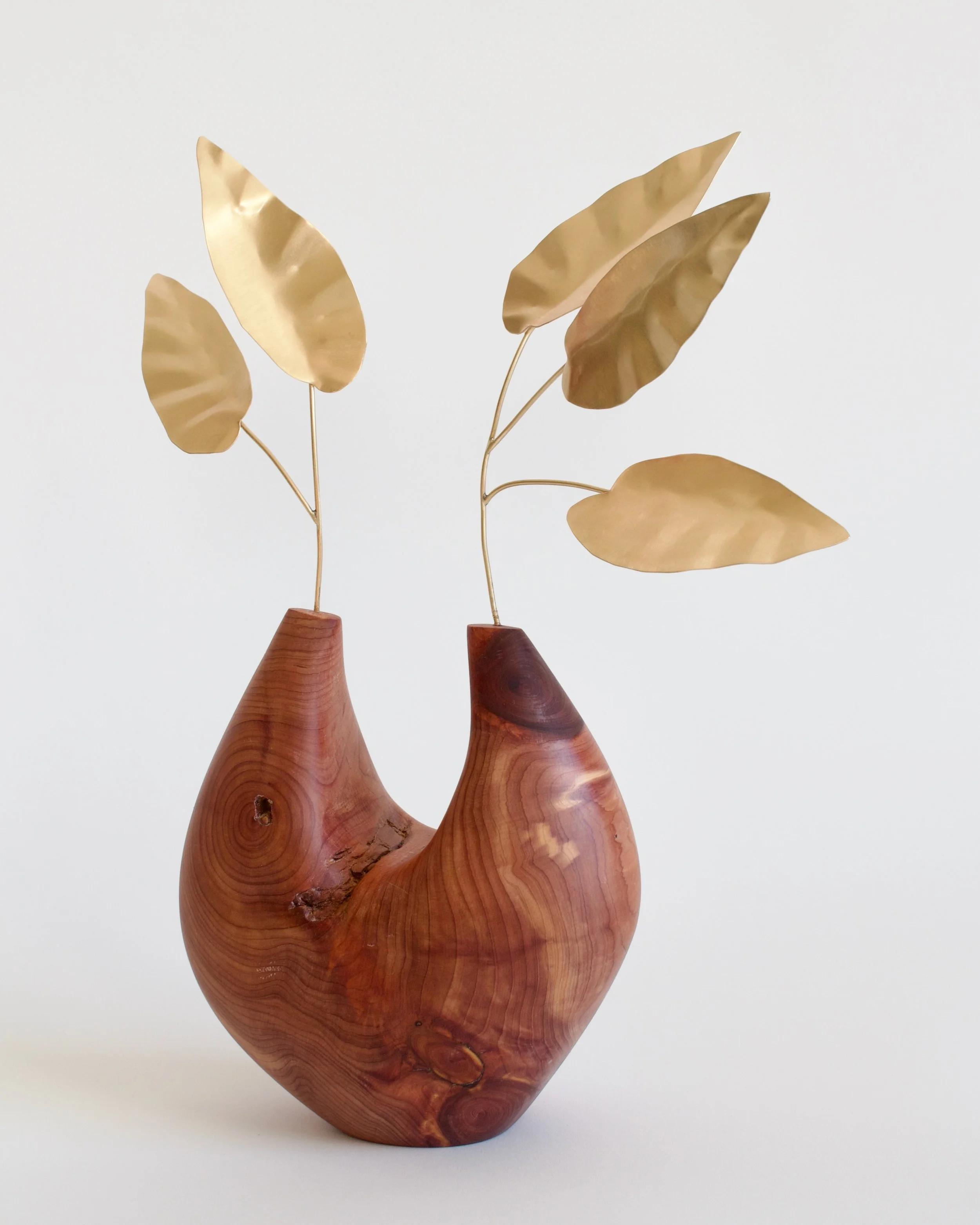 Vessel_Begonia+Cedar - 1.jpeg