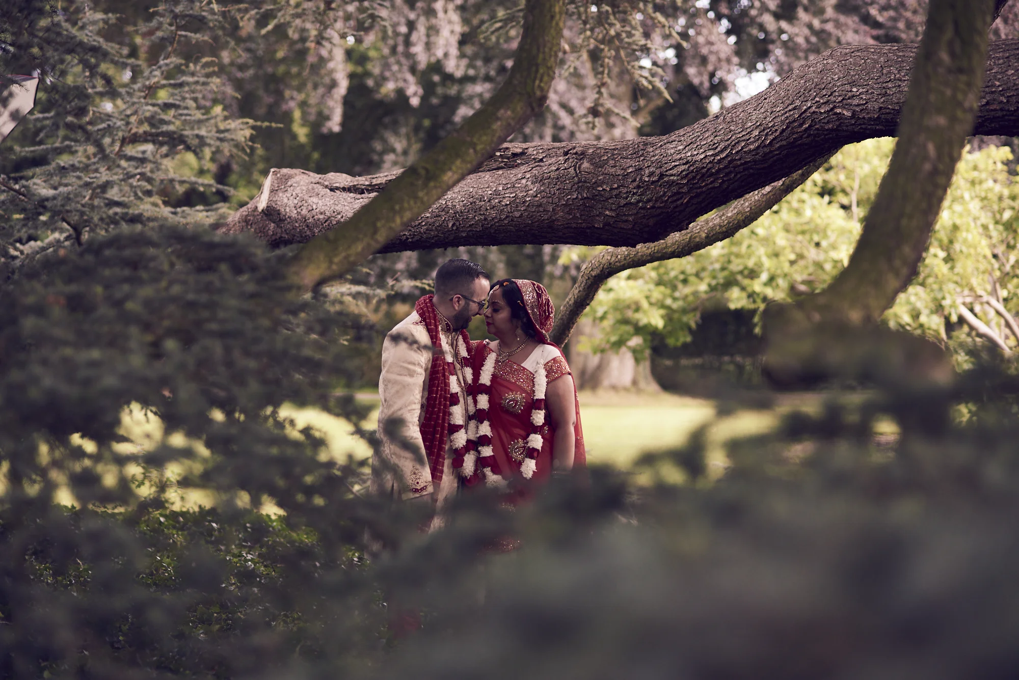 Tony and Meenal's Greek and Hindu Wedding