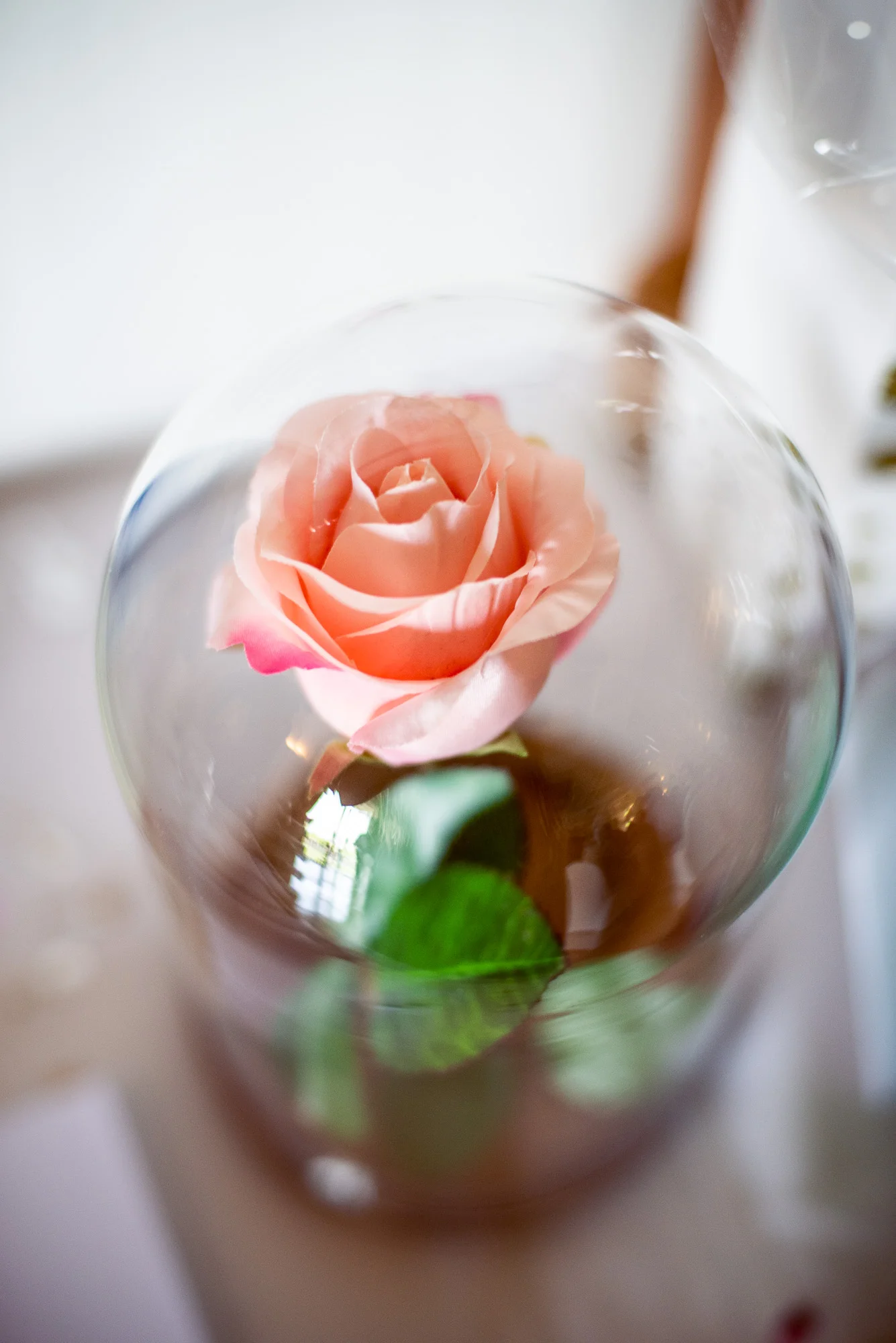 DSC_1166_RajandJade .jpg