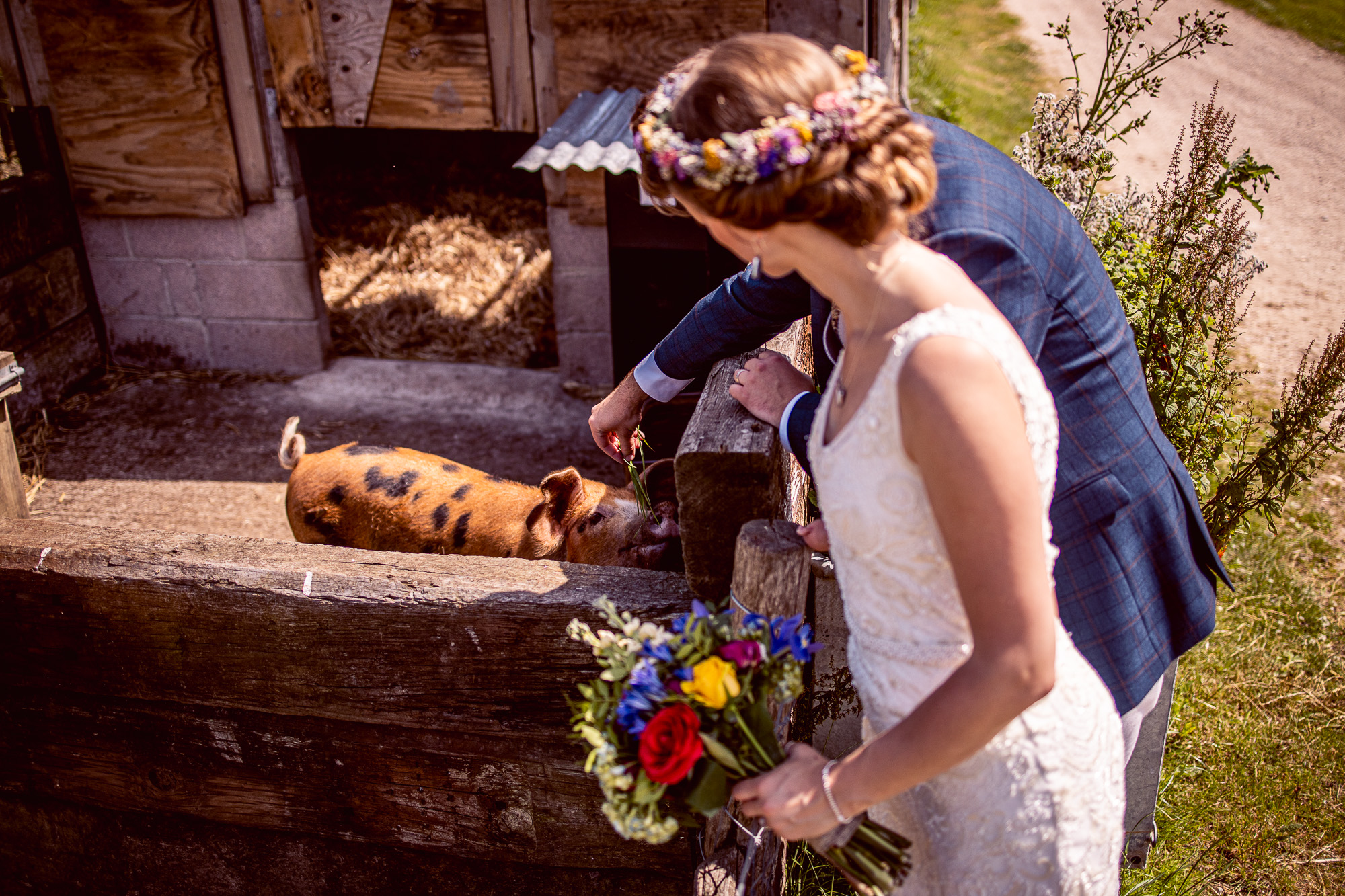 R&J 20190624 Sheafayne Manor 2137.jpg