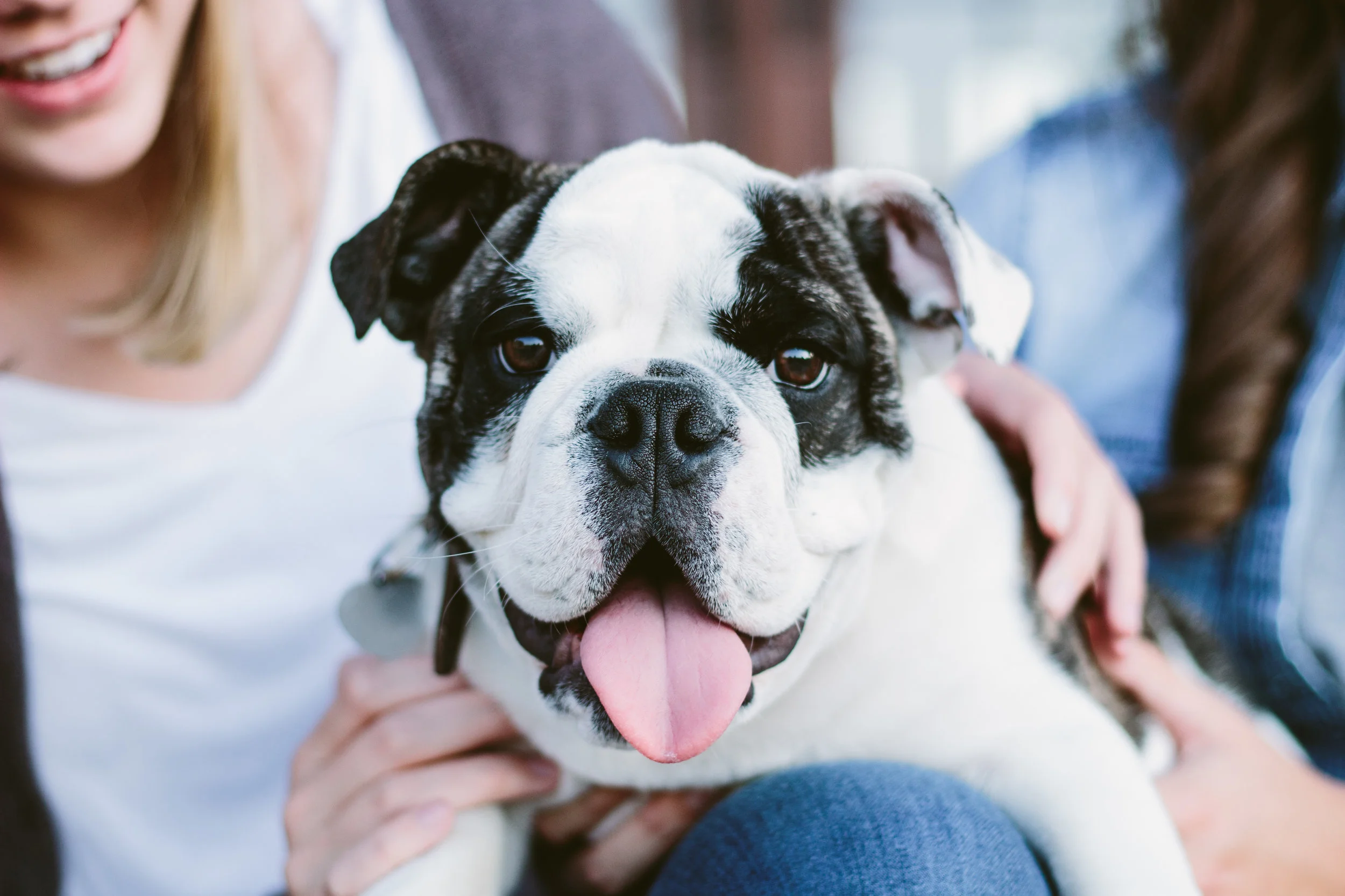 poses, outdoor, city, ideas, brick, young, inspiration, urban, fun, outfit, senior, simple, creative, artsy, dramatic, artistic, light and airy, natural light, head shots, Tumblr, Knoxville, sisters, with dog