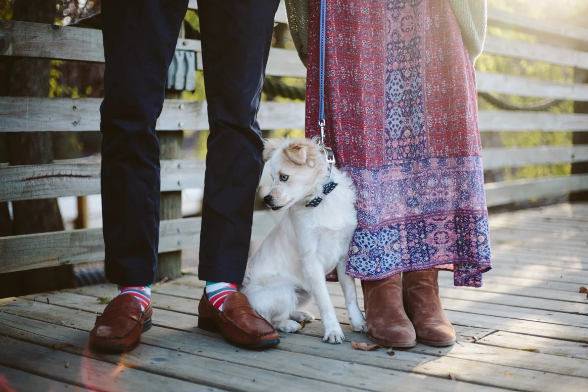 poses, outdoor, intimate, ideas, outfits, country, fall, unique, passion, fun, young, married, engaged, creative, romantic, natural, light and airy, natural light, photoshoot, couple, inspiration, sunset, love, Knoxville, vibrant, colorful, anniversary, hunter valley farm, with dog