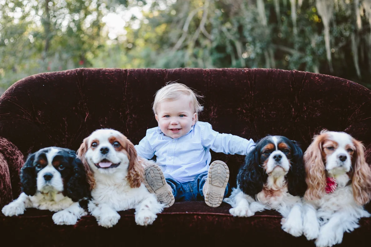 family, extended, summer, spring, sunset, outdoors, poses, ideas, outfits, large, field, inspiration, with older kids, with toddler, color scheme, white, creative, siblings, big, natural light, light and airy, photoshoot, lifestyle, dogs