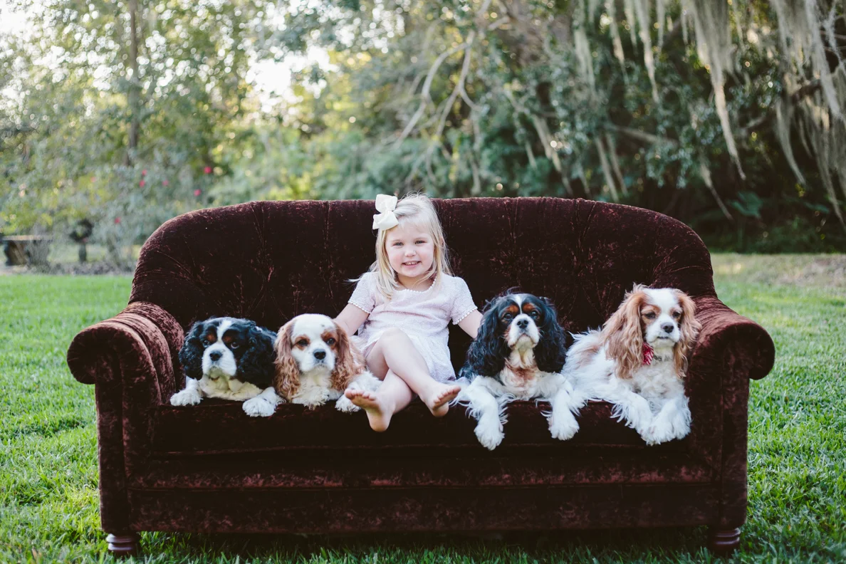family, extended, summer, spring, sunset, outdoors, poses, ideas, outfits, large, field, inspiration, with older kids, with toddler, color scheme, white, creative, siblings, big, natural light, light and airy, photoshoot, lifestyle, dogs