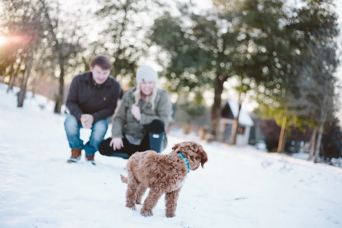 poses, outdoor, intimate, ideas, outfits, country, winter, unique, passion, fun, young, married, engaged, creative, romantic, natural, light and airy, natural light, photoshoot, couple, inspiration, sunset, love, Knoxville, vibrant, colorful, anniversary, Knoxville, Tennessee, snow, family, with dog, puppy
