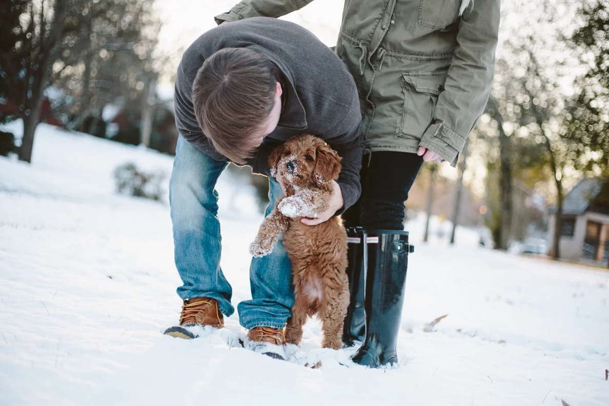 poses, outdoor, intimate, ideas, outfits, country, winter, unique, passion, fun, young, married, engaged, creative, romantic, natural, light and airy, natural light, photoshoot, couple, inspiration, sunset, love, Knoxville, vibrant, colorful, anniversary, Knoxville, Tennessee, snow, family, with dog, puppy