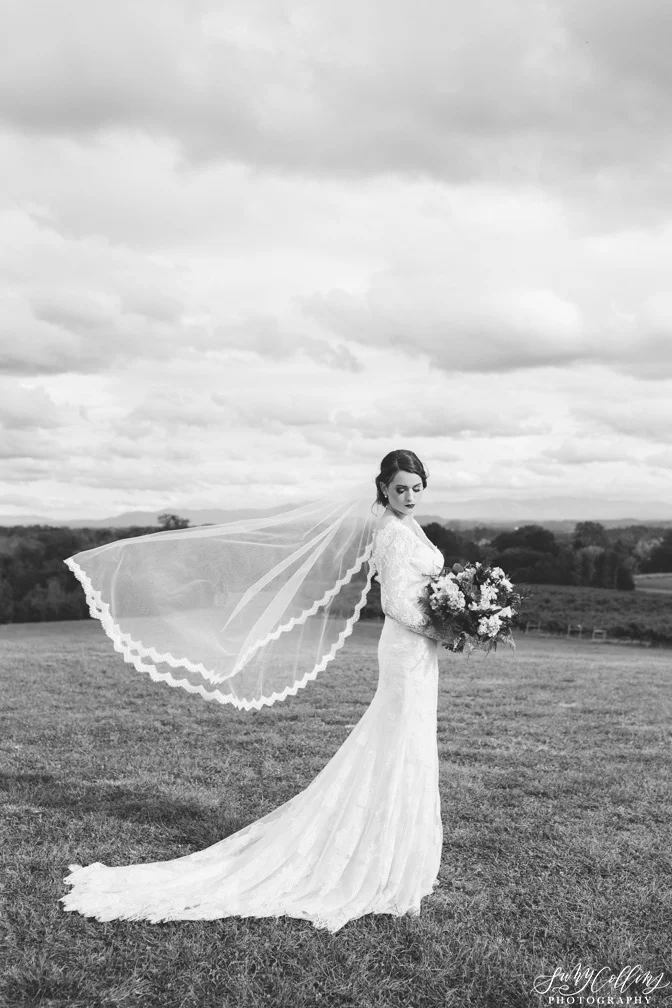 Black & White Bridal Portrait