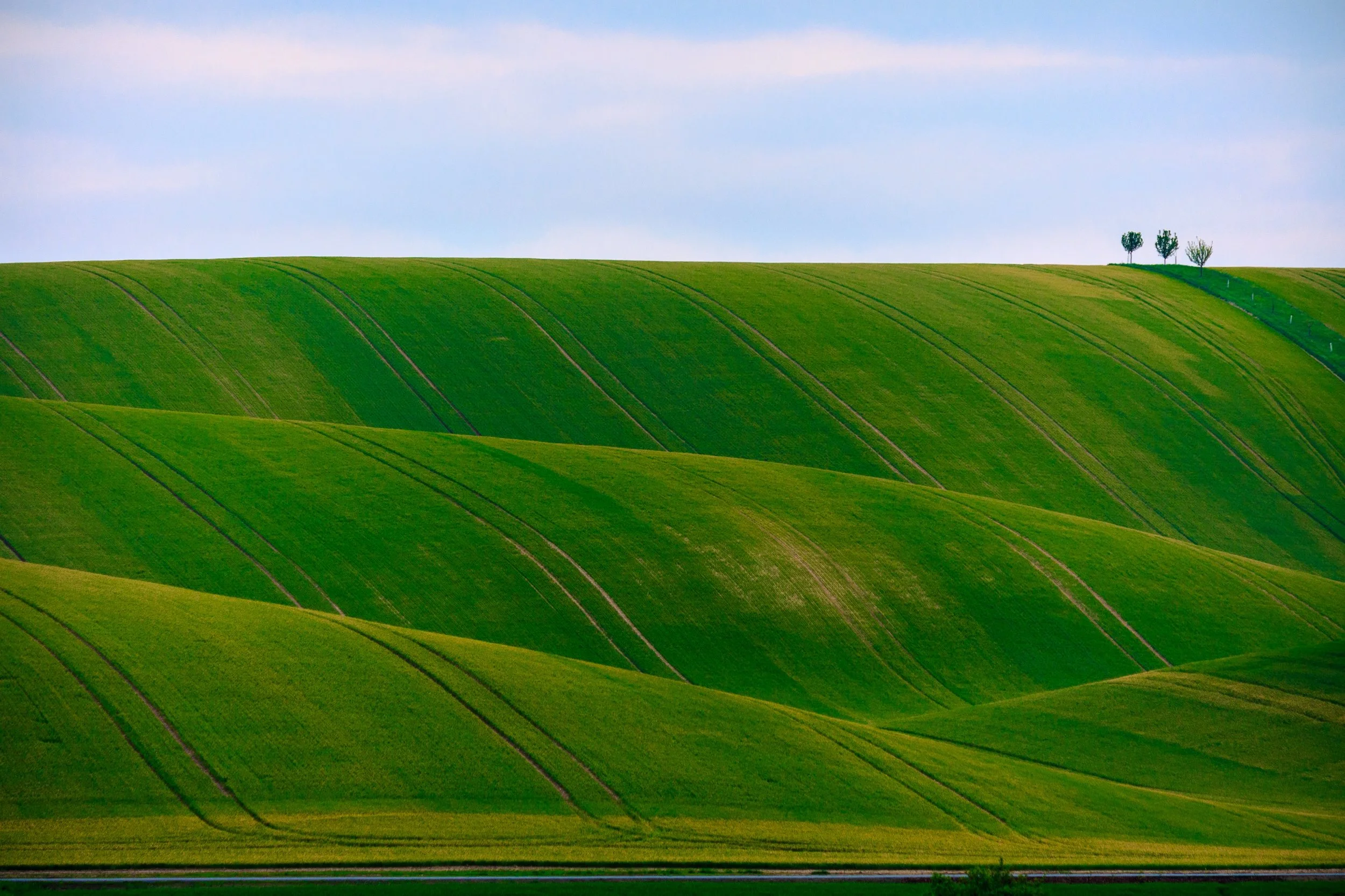 Photo by: Dawid Zawiła