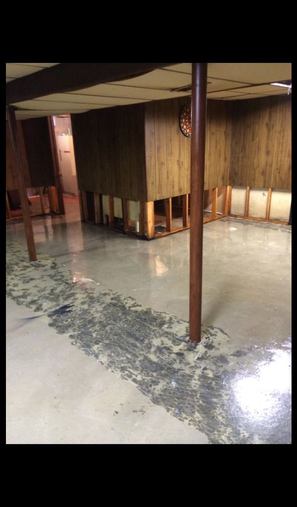 Moldy Basement After.png