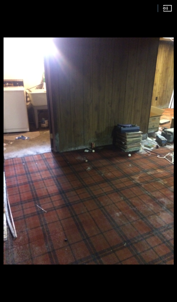 Moldy Basement Before.png