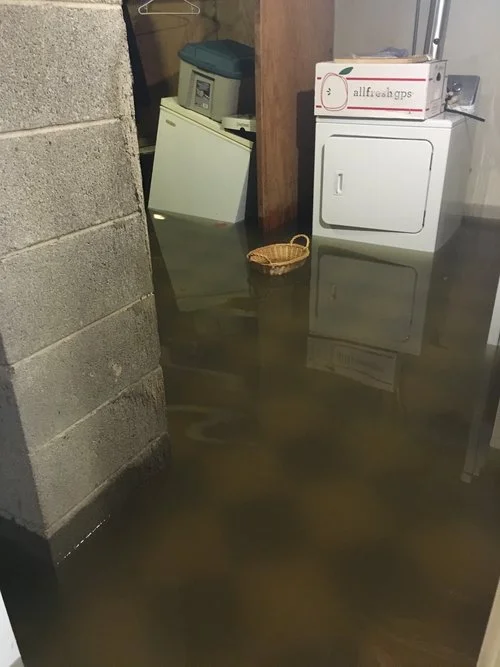 Standing+Water+Appliances+Floating.jpg