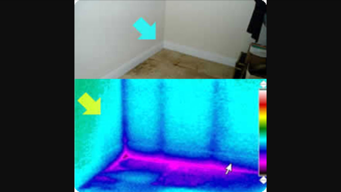 Thermo+Image+Plain+Site+View.png