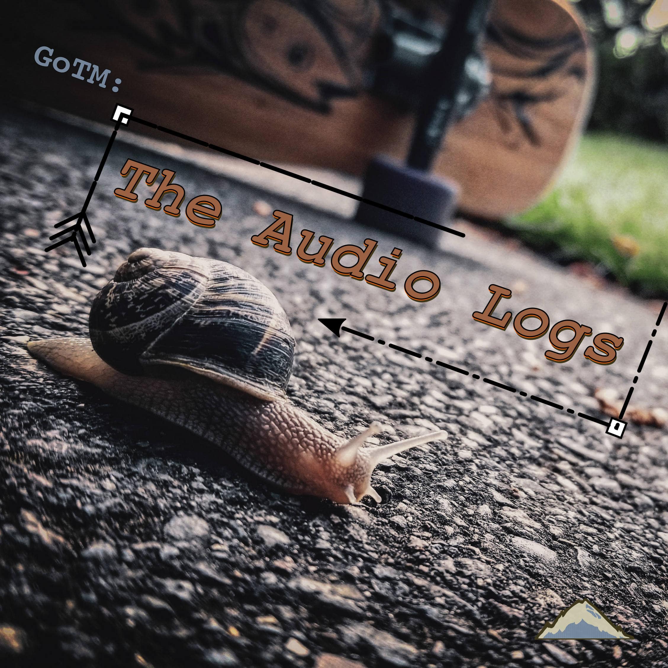 AL005  ||  No Wind is Favorable